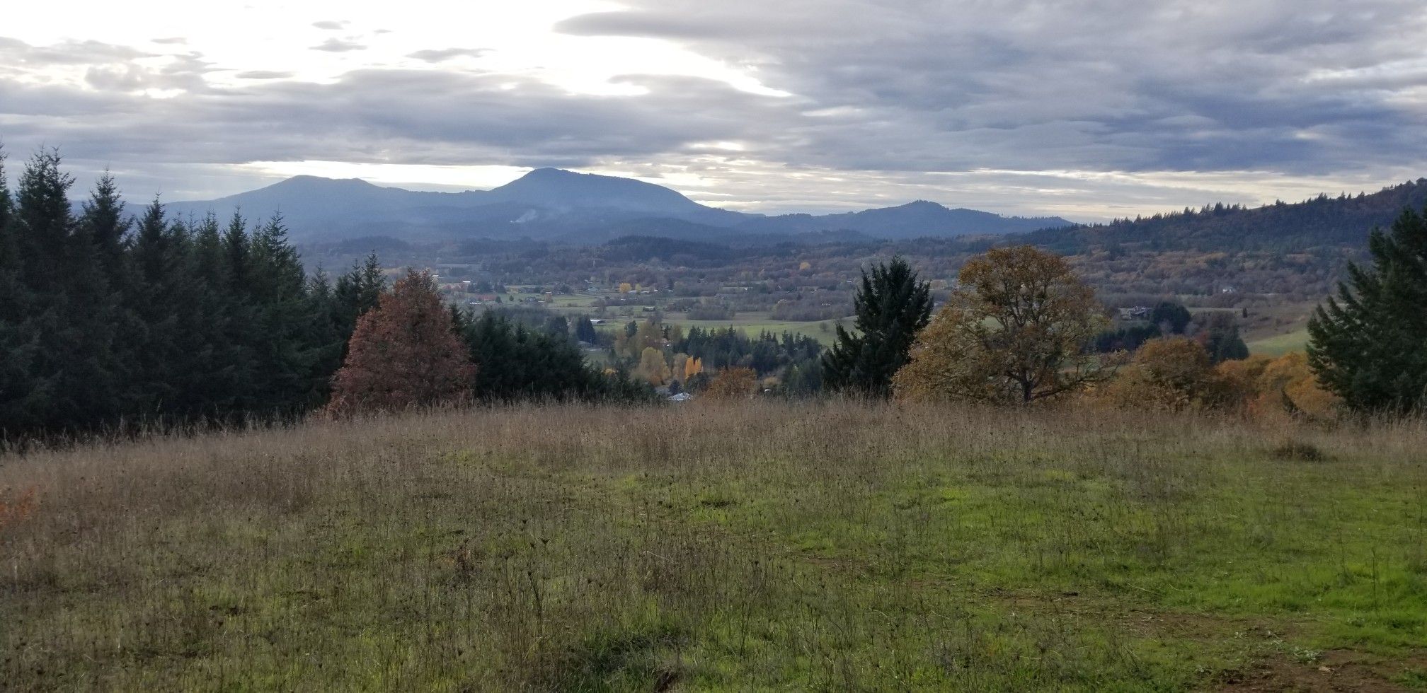 Overcast panoramic view of a valley, distant mountains, and autumn trees. - Bald Hill Natural Area Loop