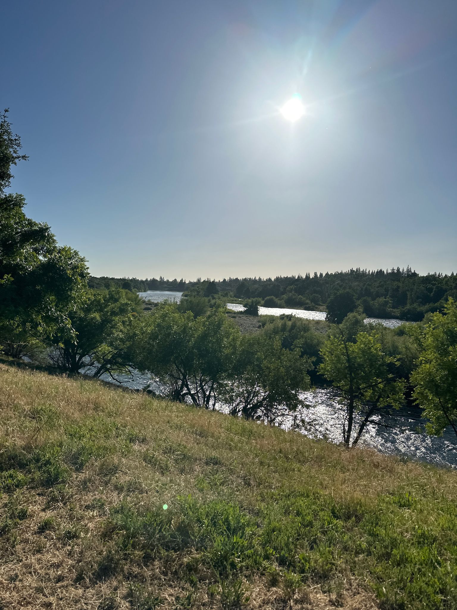 A wide river flows past a grassy bank under a bright, sunny sky. - River Bend Park and American River Trail Loop