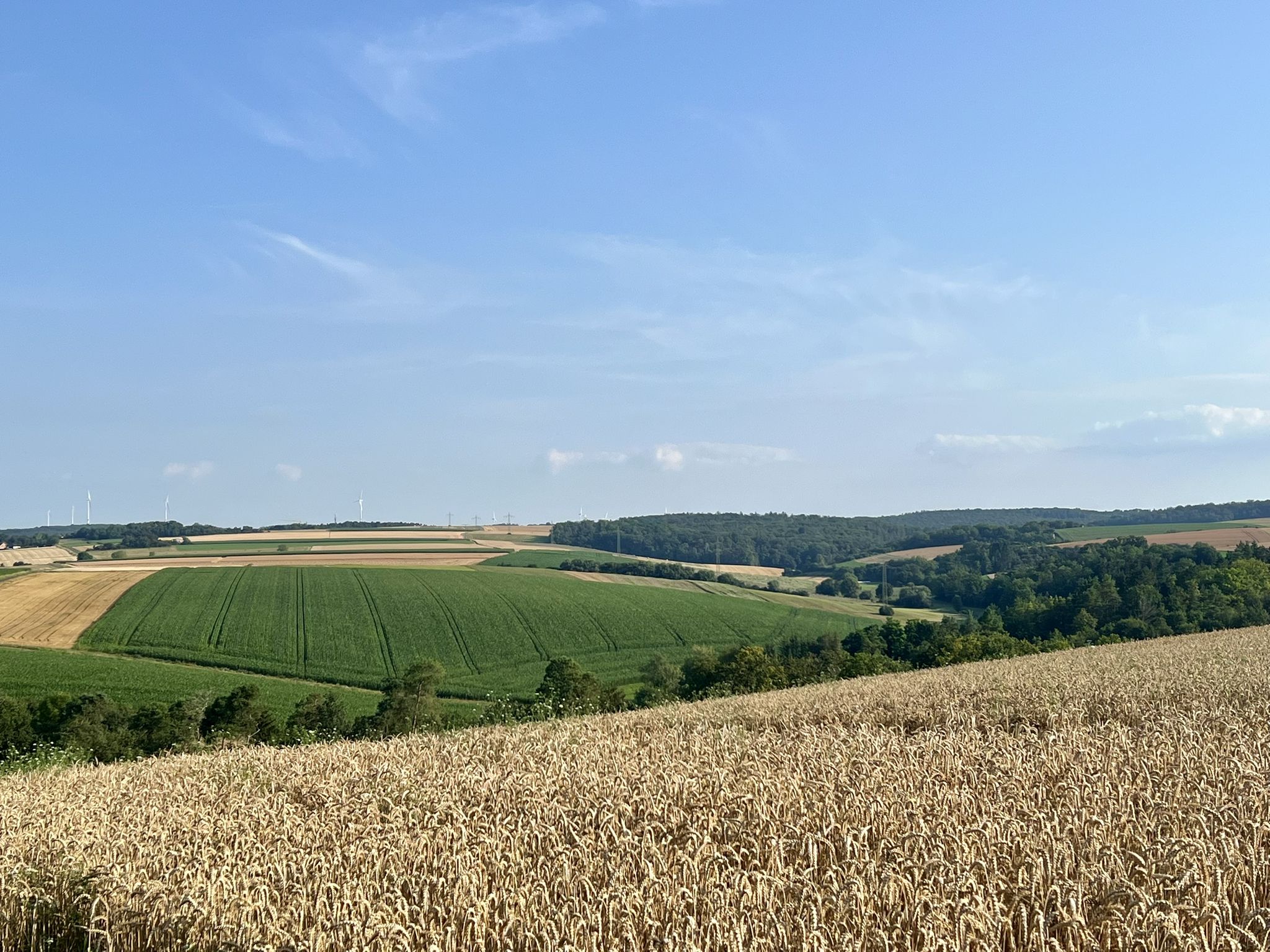 Blick über die Felder