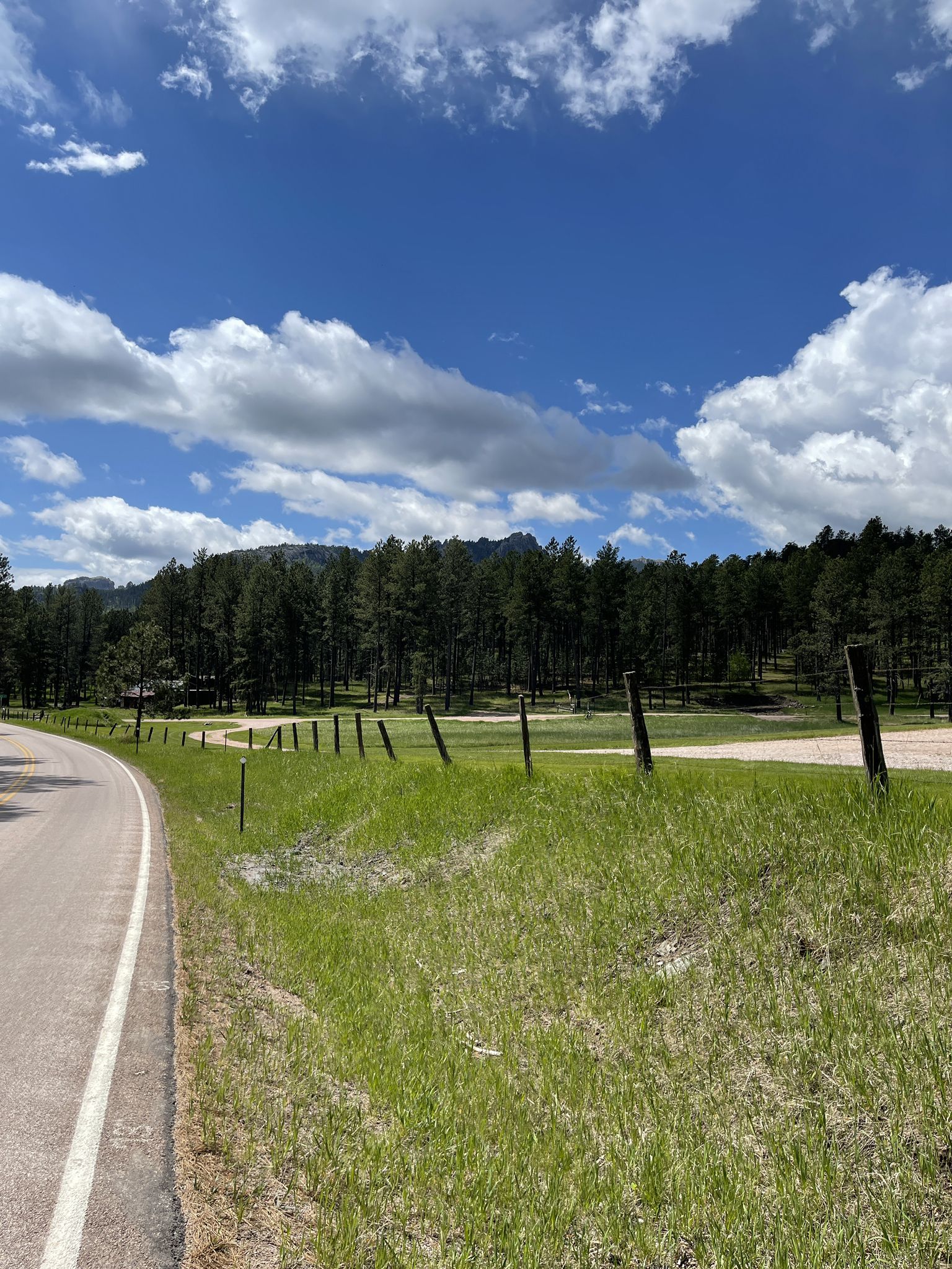 Paved road next to a green golf course and dense pine forest. - Hill City to Keystone via Old Hill City Route