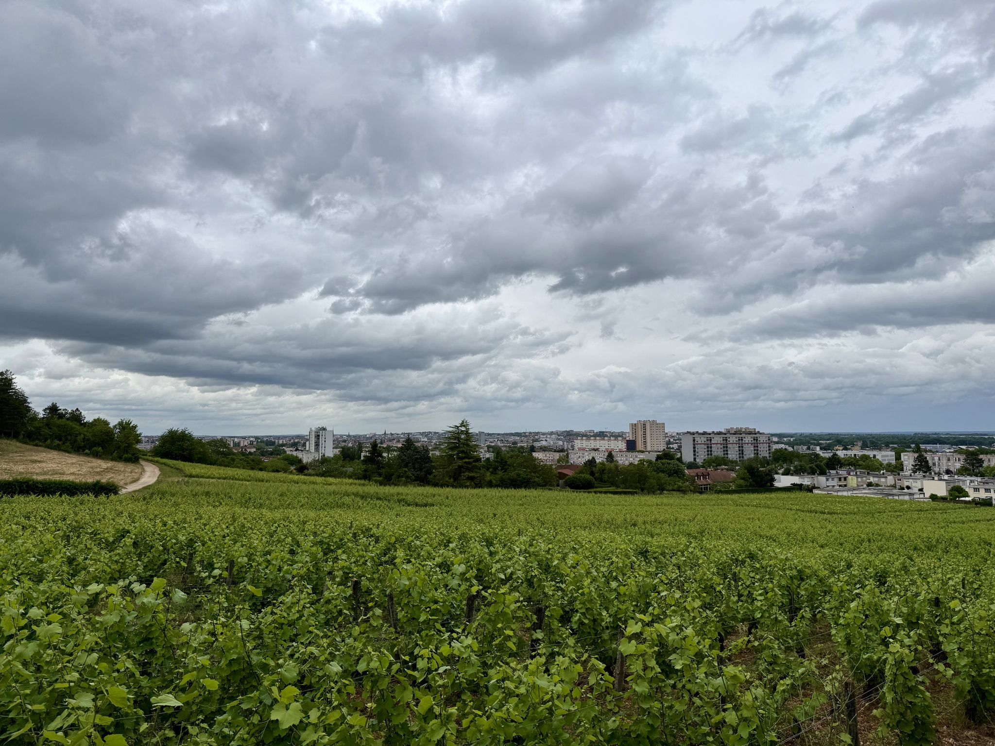 Blick Richtung Dijon