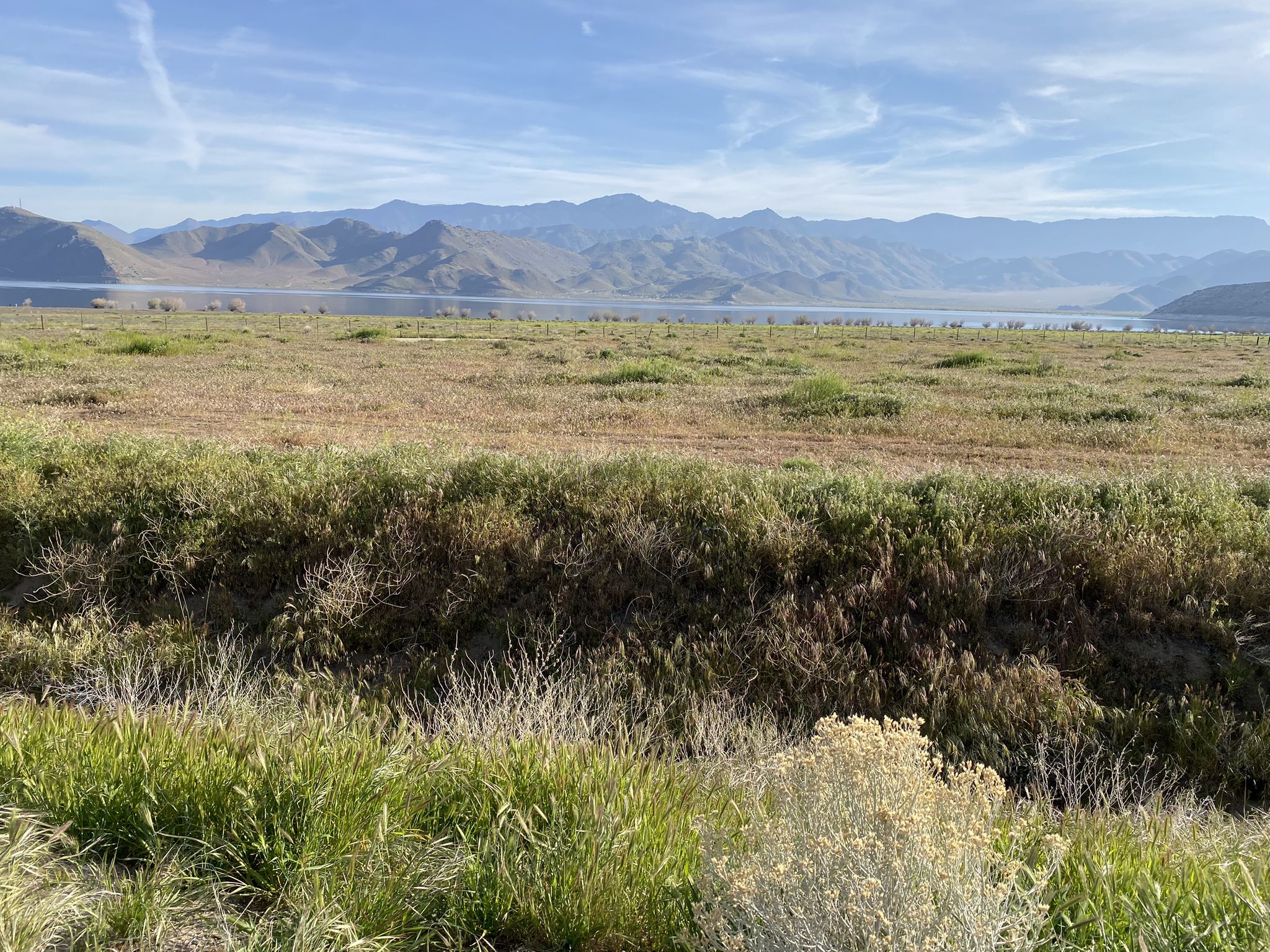 Grassy field leading to a large lake with distant mountains under a clear sky. - Lake Isabella and Silver City Ghost Town loop