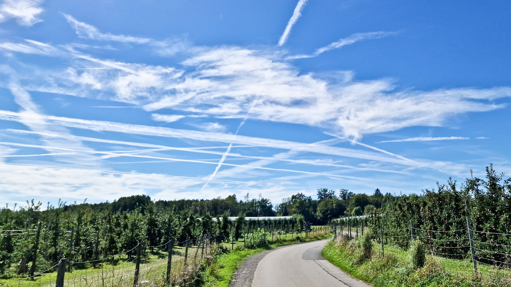 Eine Dokumentation zum oberschwäbischen Flugverkehr