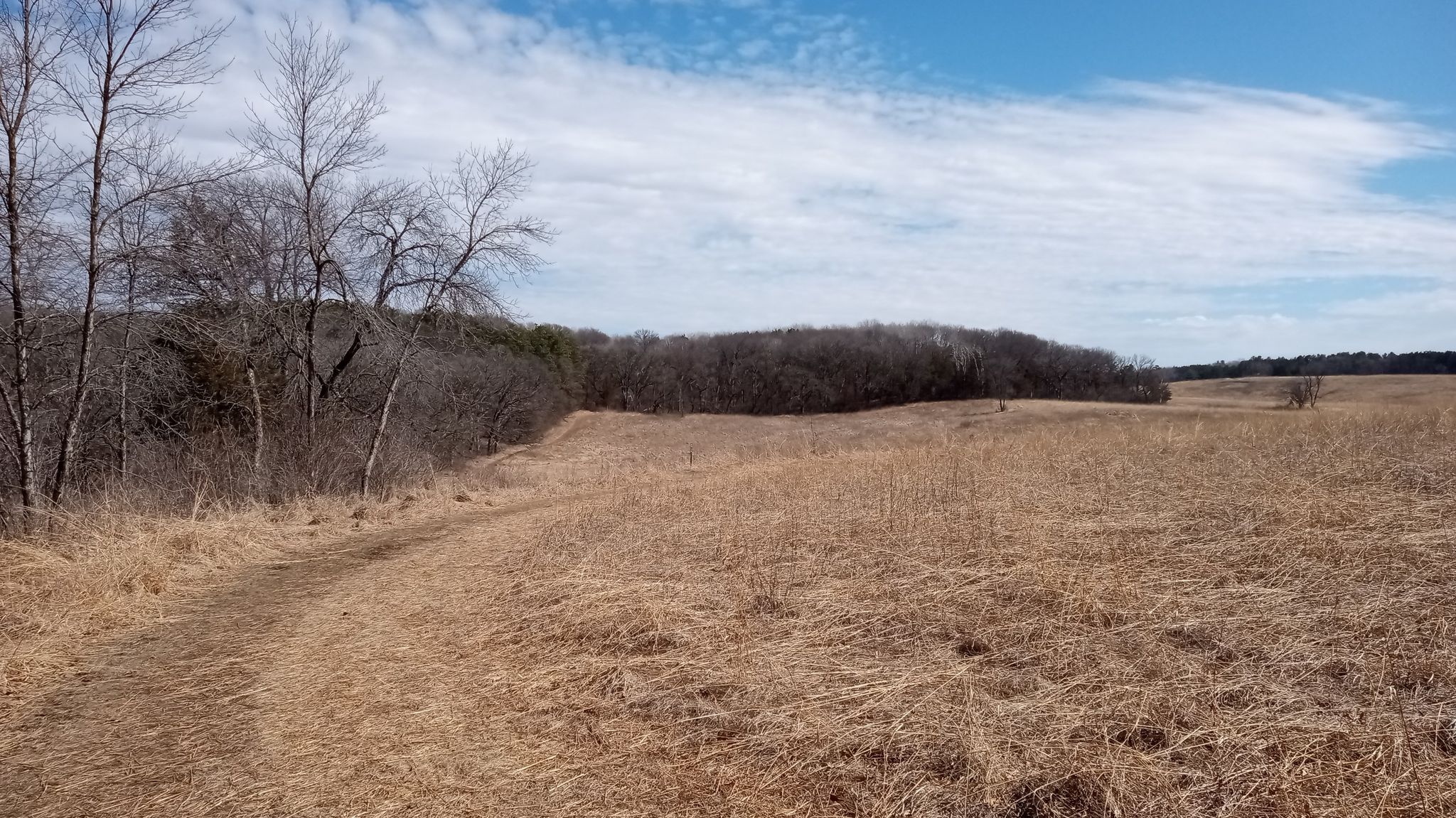 Dirt path through dry grassy field with bare trees under a cloudy sky. - Bluebird and Butterfly Loop