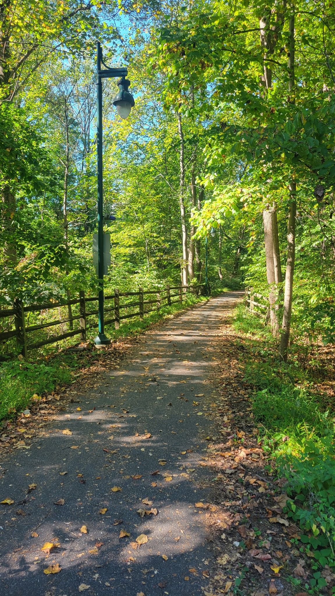 Paved path through sunlit green woods with a lamppost and wooden fence. - Olan Thomas Park loop from Newark