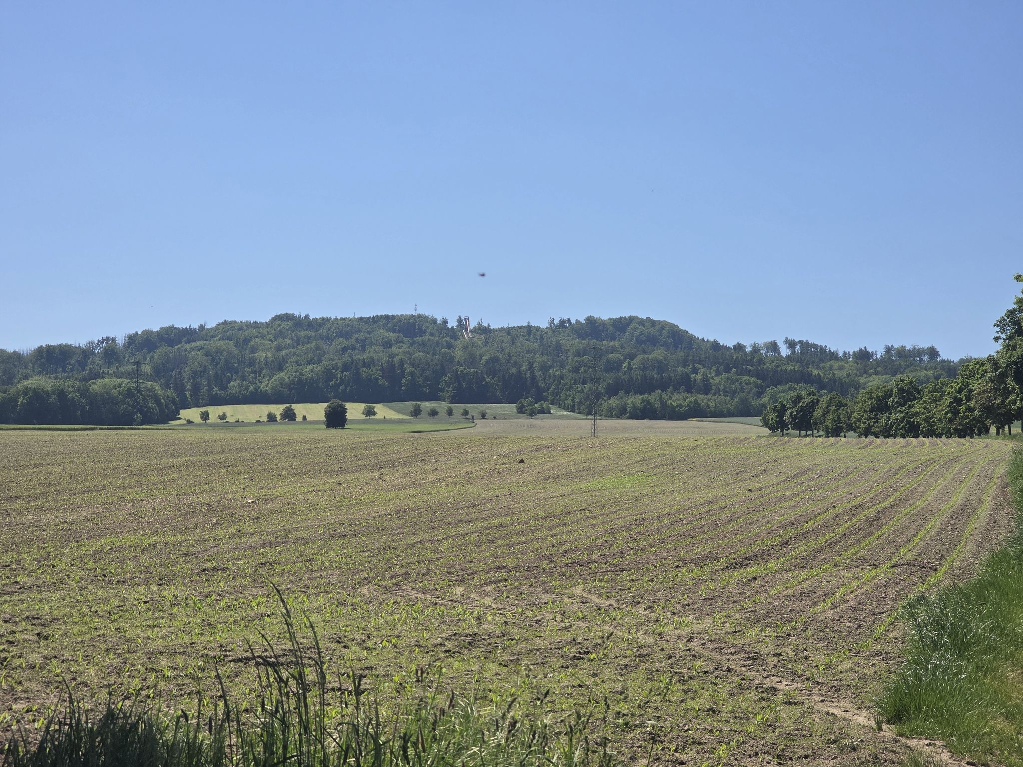 Blick zum den Kottmar  Schanzen