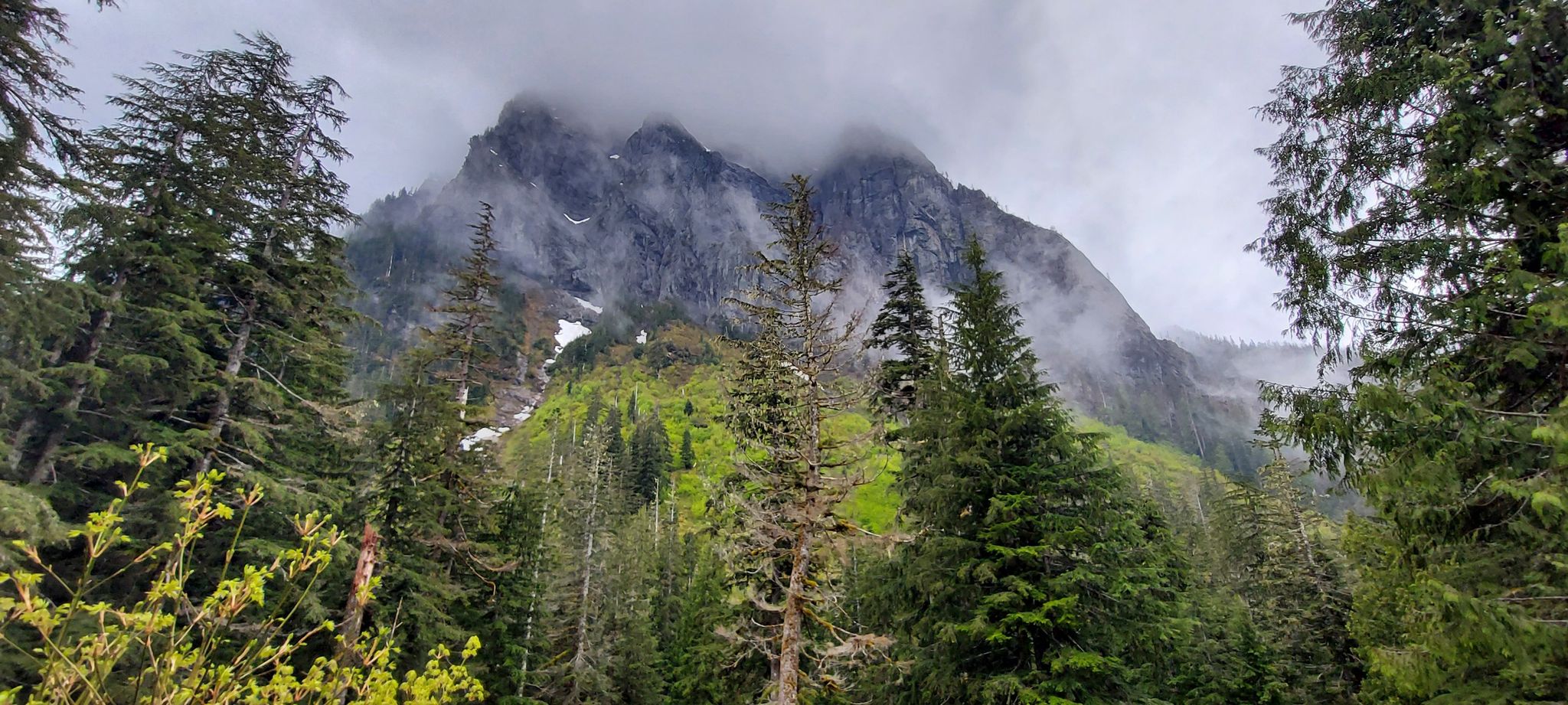 Cloud-shrouded mountain peak rises above a dense evergreen forest on an overcast day. - Barclay Lake Trail