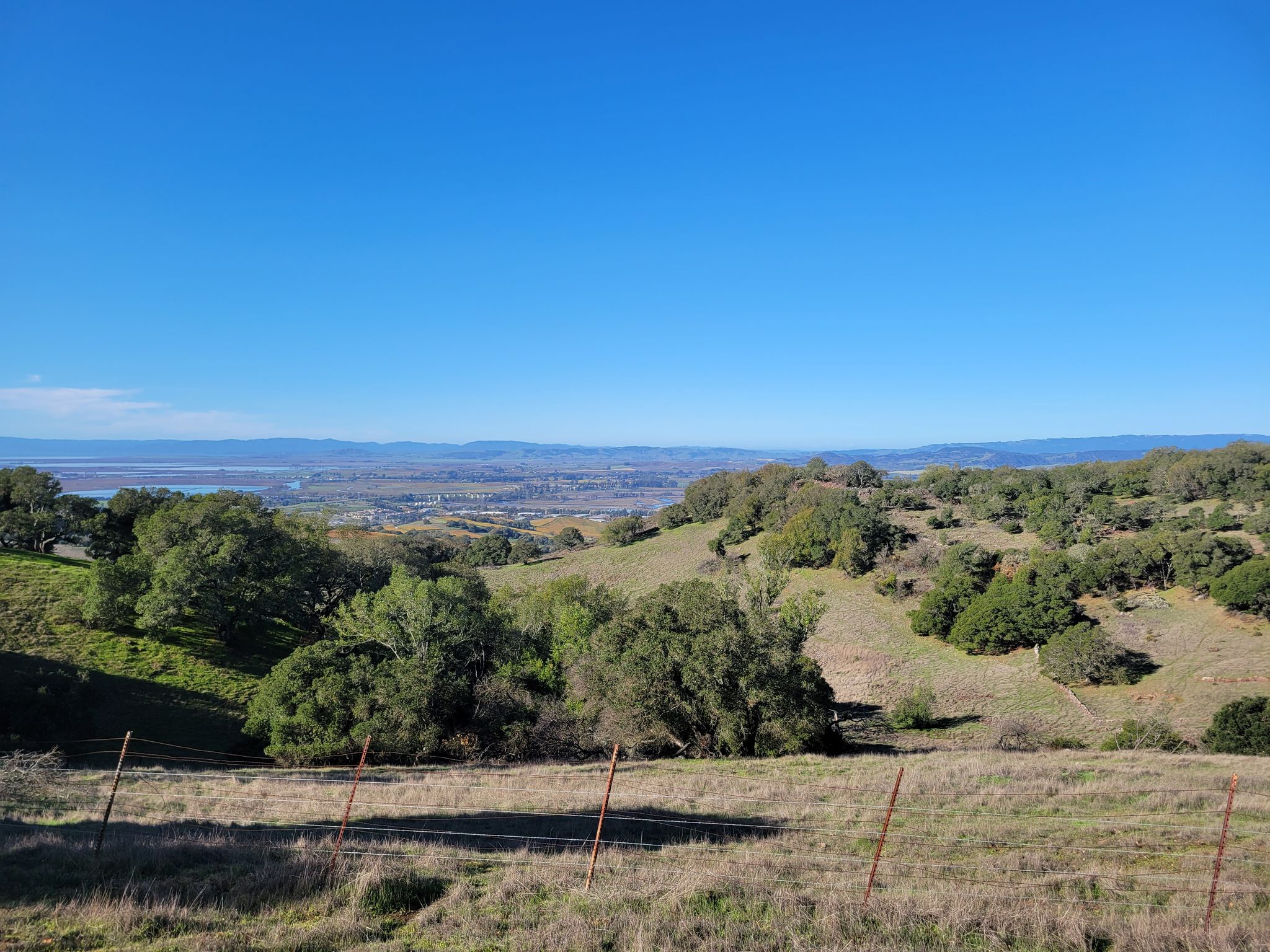 Rolling green hills with scattered trees overlooking a distant valley under a clear blue sky. - Lake Marie – Skyline Ridge Trail loop from Napa Valley College