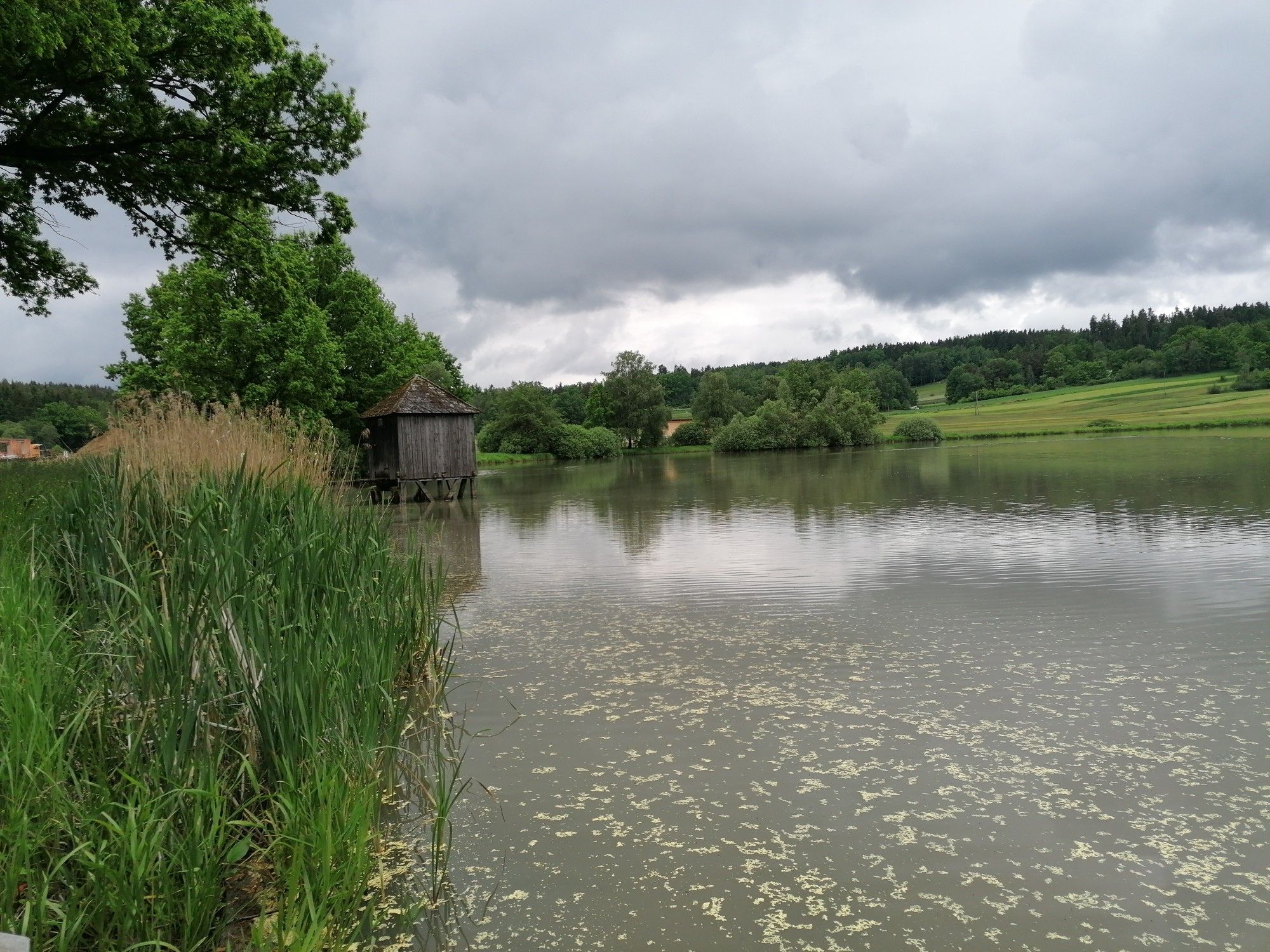 Ulrichs-Teich