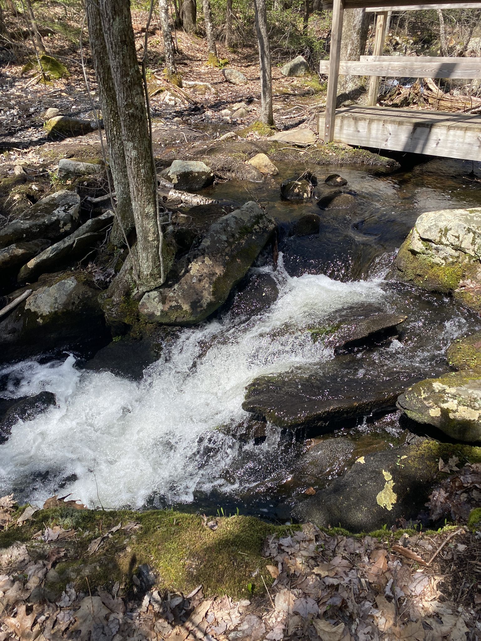 Rushing water cascades over rocks in a stream next to a wooden bridge. - Dam Road, Jeff Smith, Tupelo, Old City and Wildlife Pond Loop