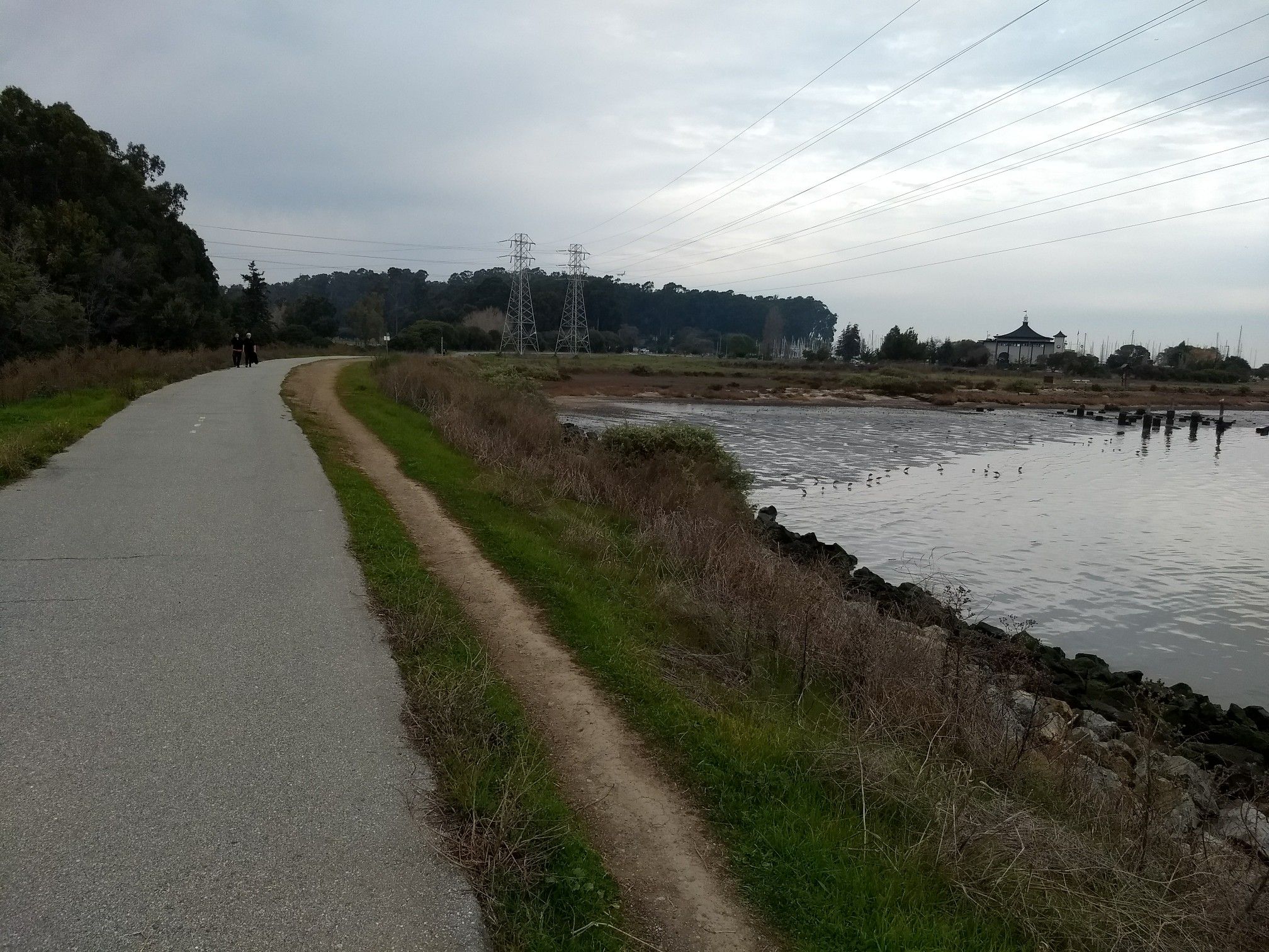 Paved path and dirt trail next to a marshy inlet with distant power lines. - Gerry Mon Memorial Path loop from Seal Point Park