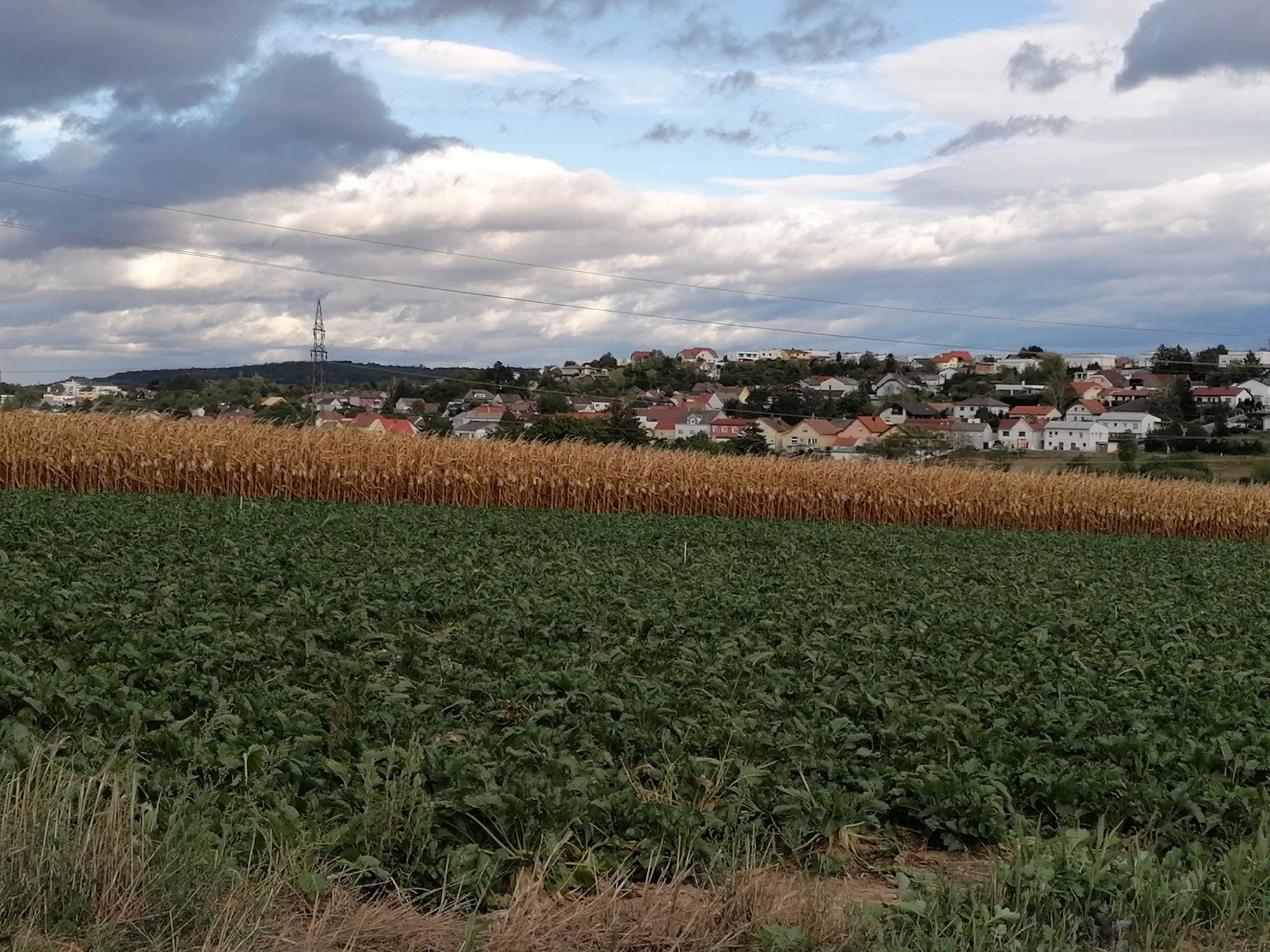 Mattersburg