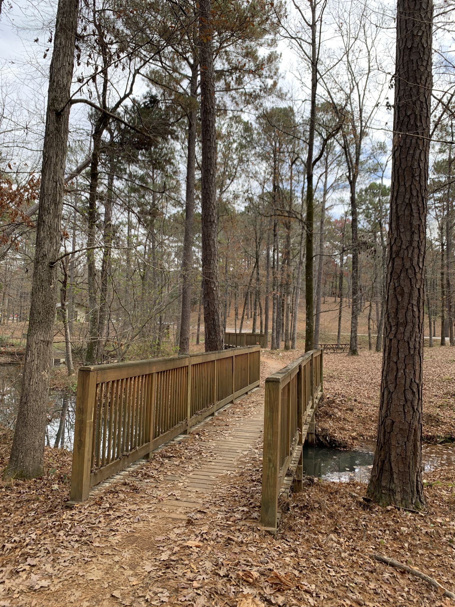 Wooden footbridge crossing a small stream in a dense, leafless forest. - Oak Mountain Lake Trail loop from South Trailhead