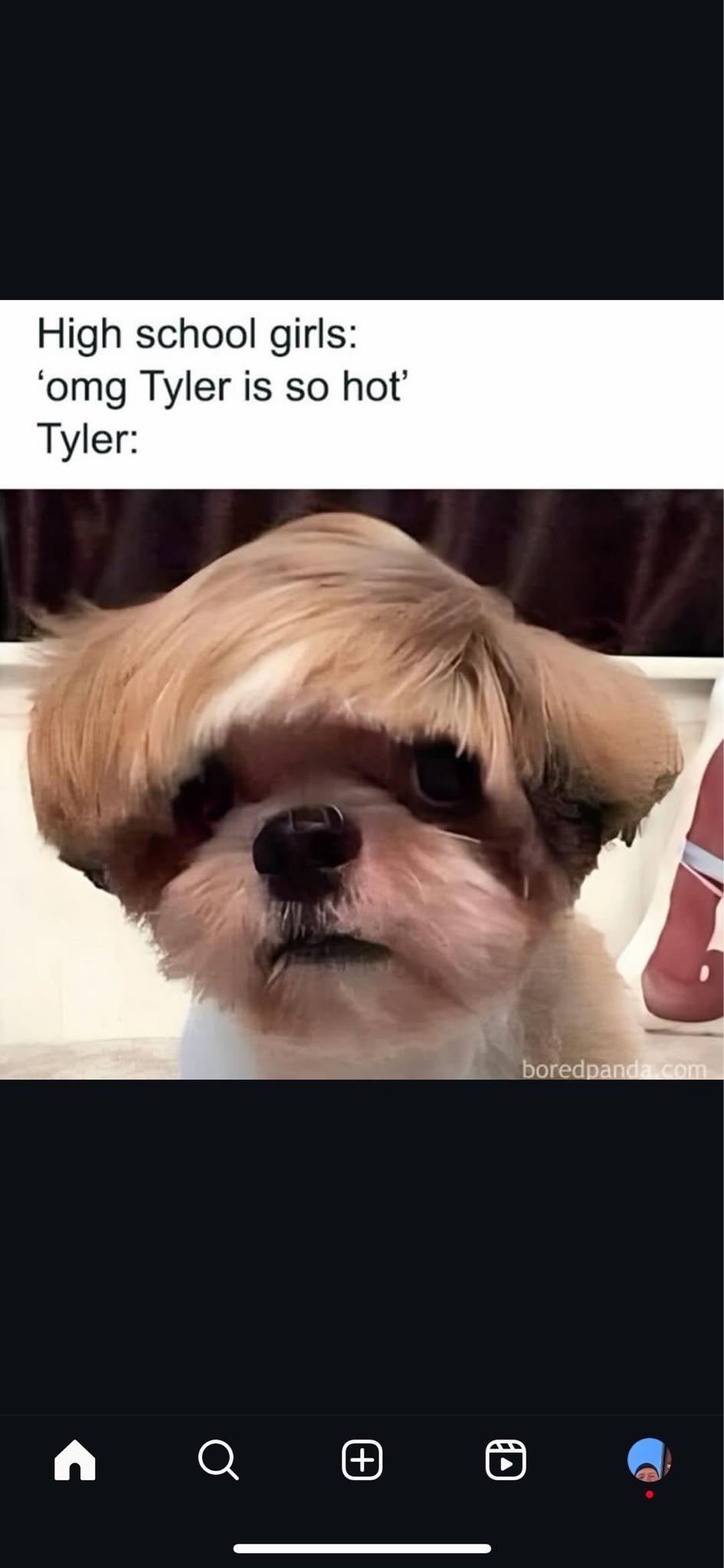 user avatar