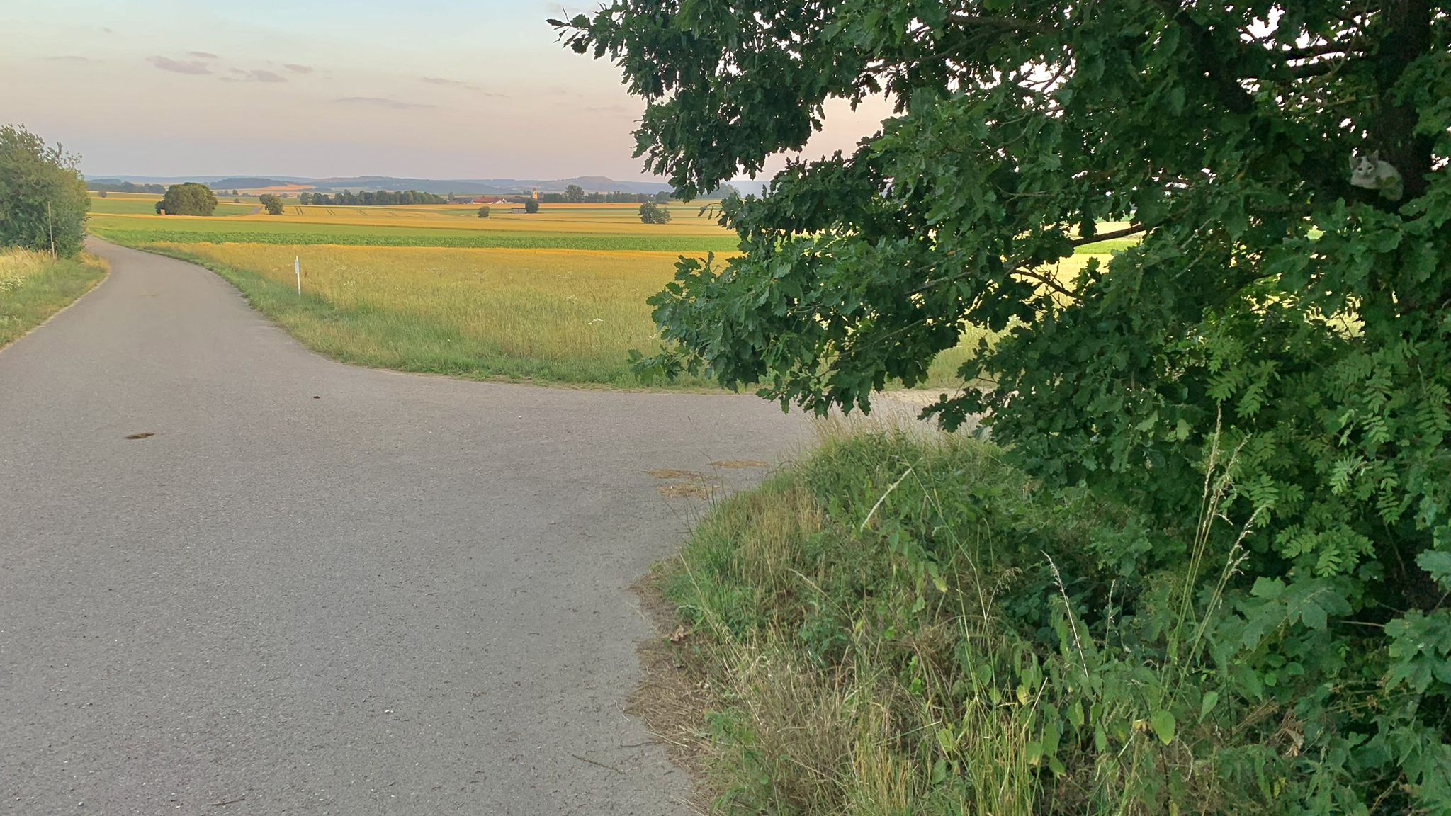 Siggst des Oachkatzlschwoaf a?