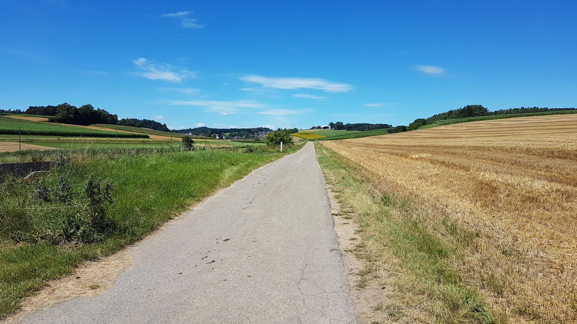 asphaltierter Radweg 