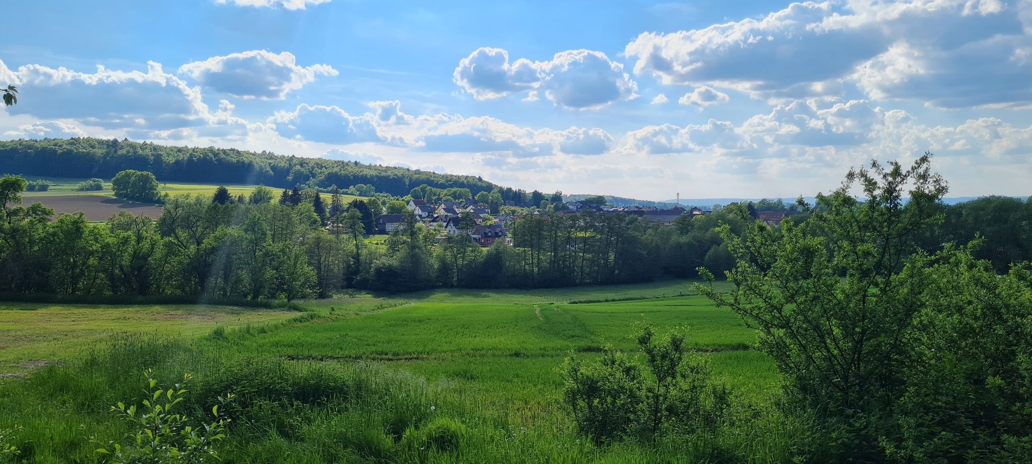 Blick auf Rossberg