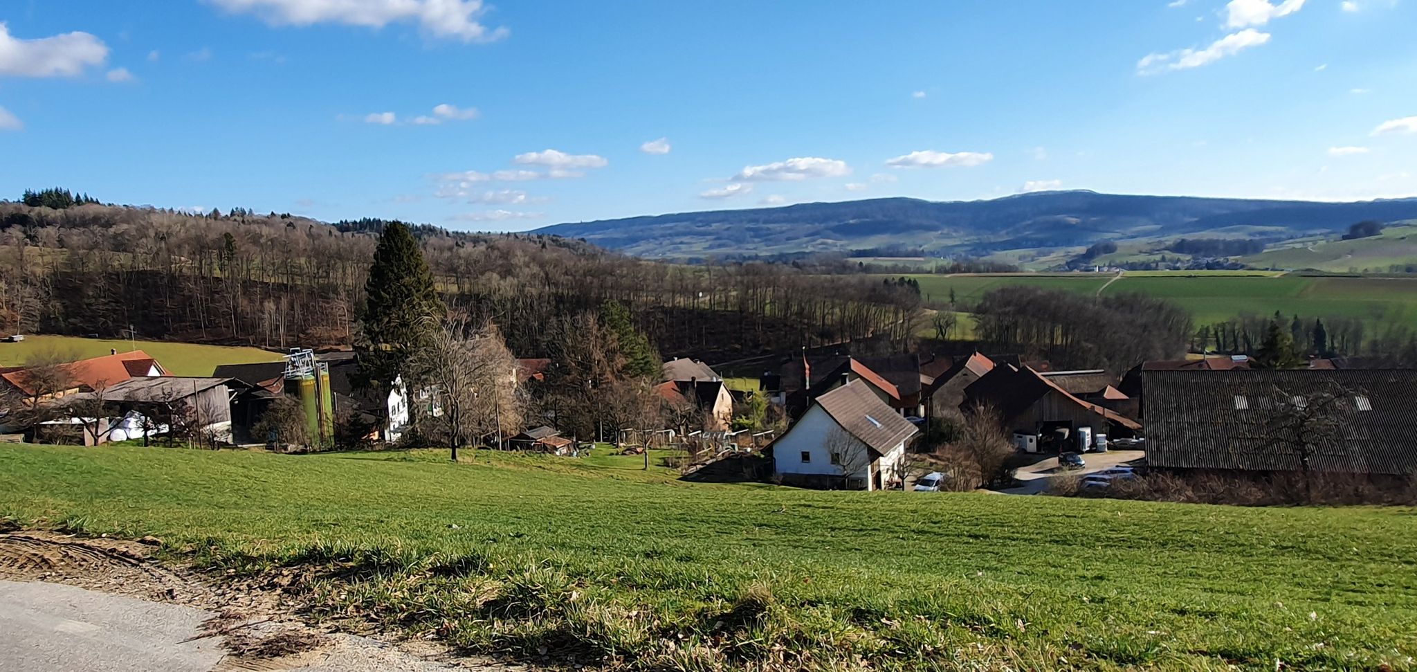 Vogelsang