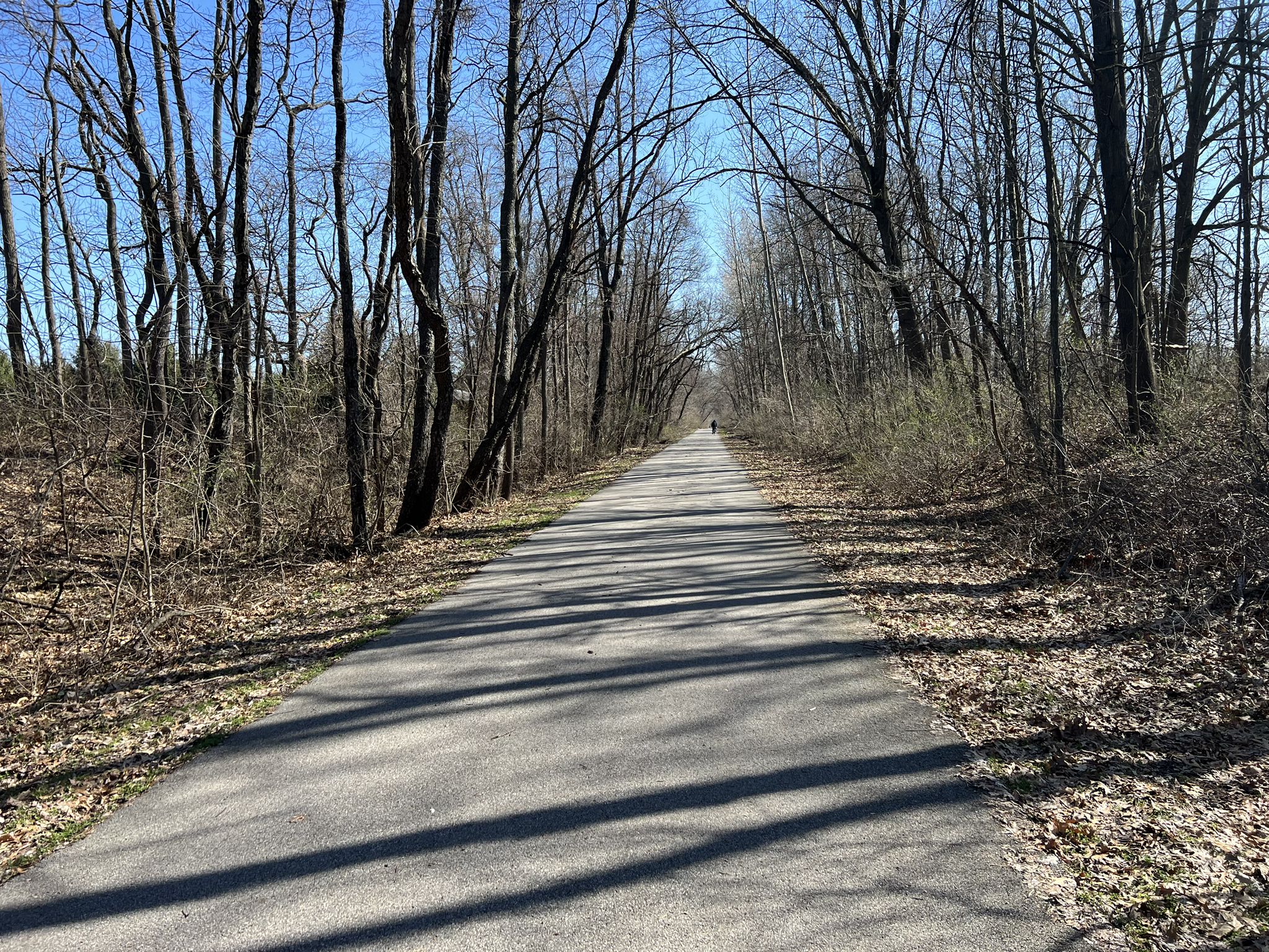 Paved path through bare trees with long shadows on a bright sunny day. - Trailblazers Bike Barn loop from Porter