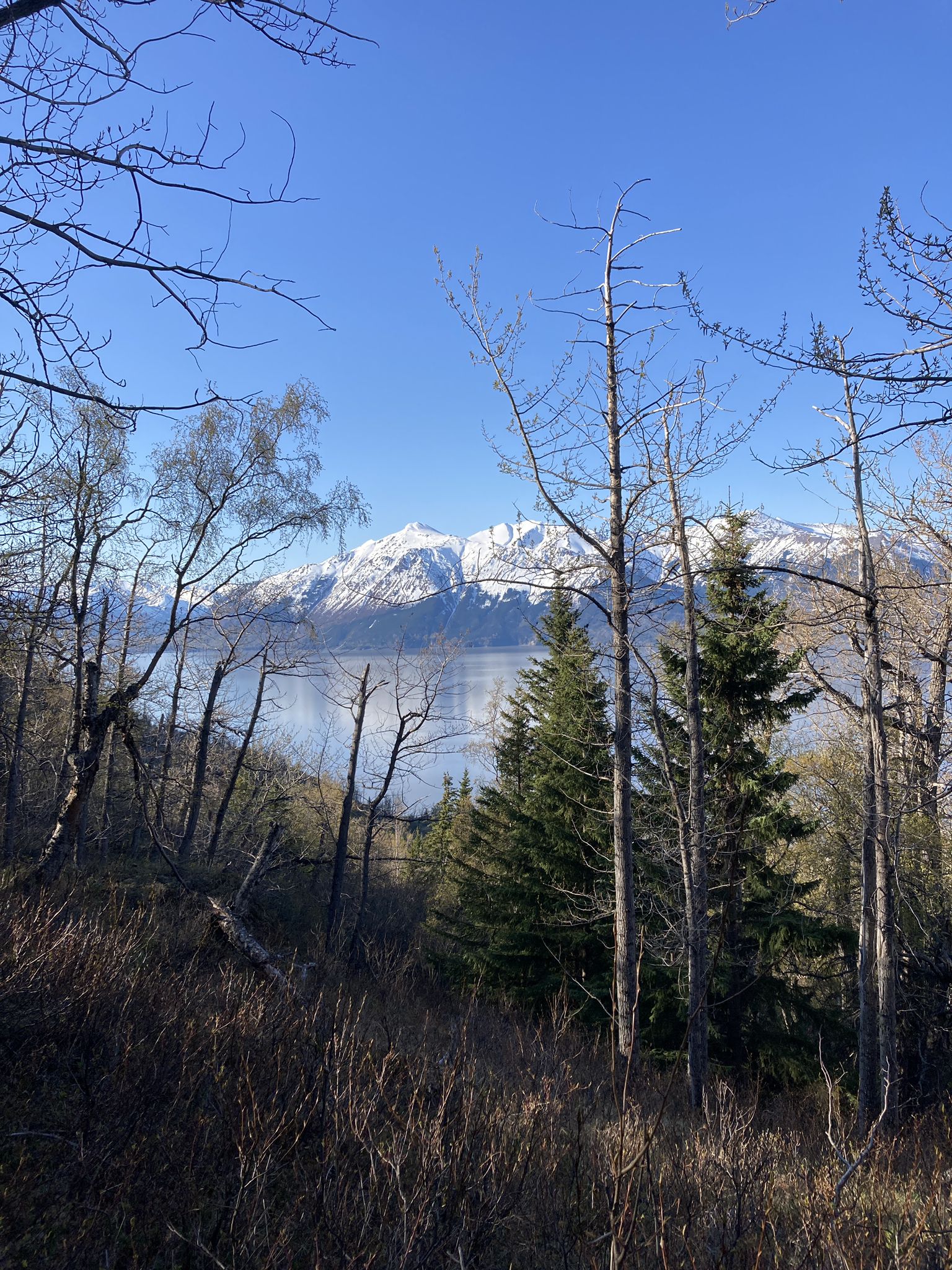Bare and evergreen trees frame snow-capped mountains across a calm body of water. - McHugh Lake Trail