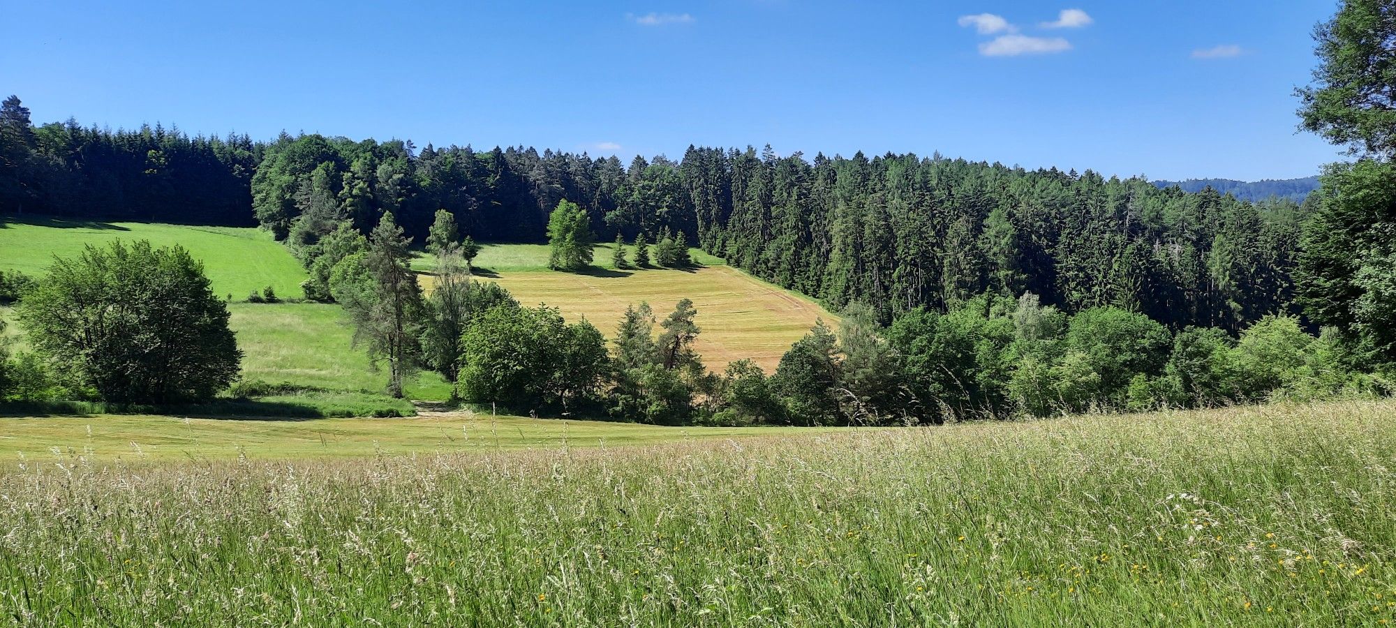 Almenschläg