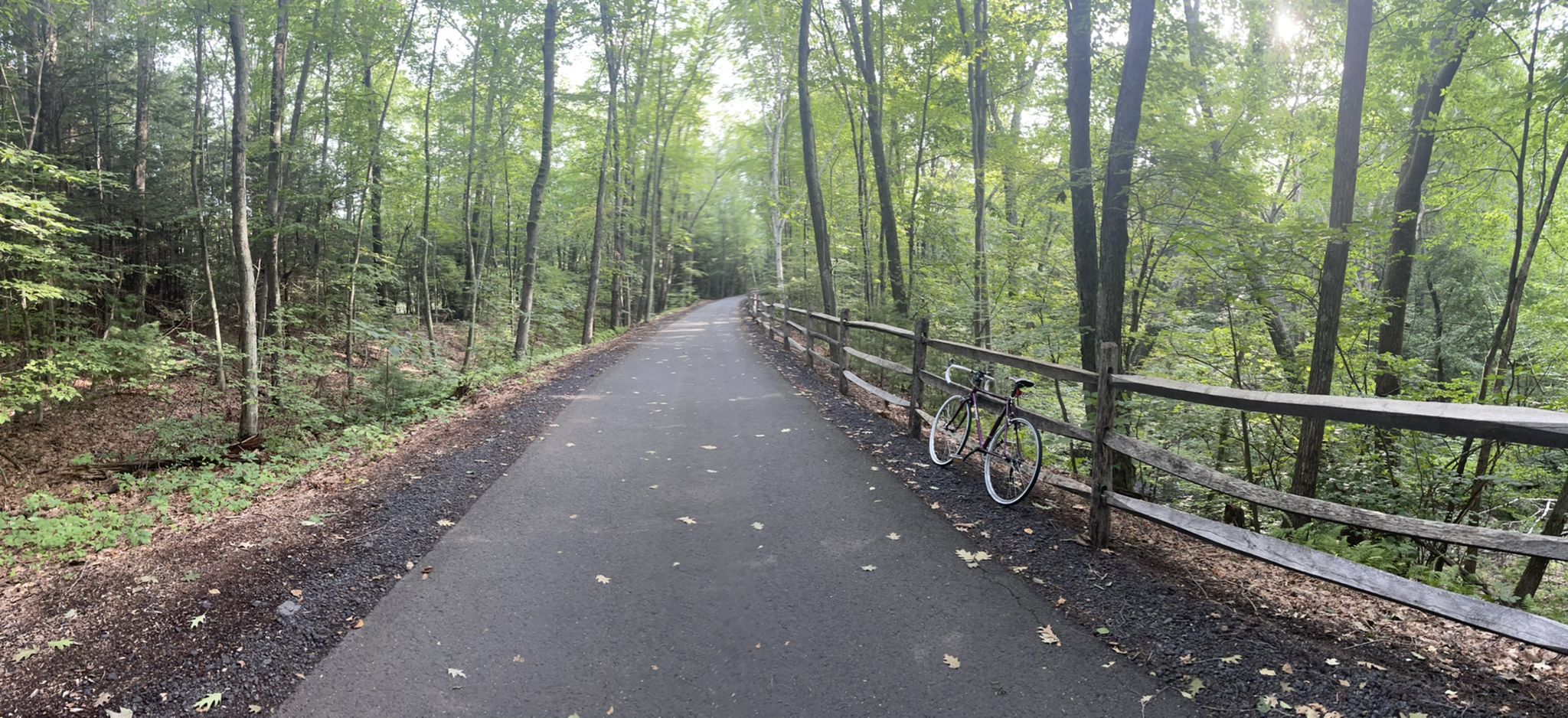 Paved path through a green forest with a bicycle leaning on a wooden fence. - Barkhamsted to Simsbury loop