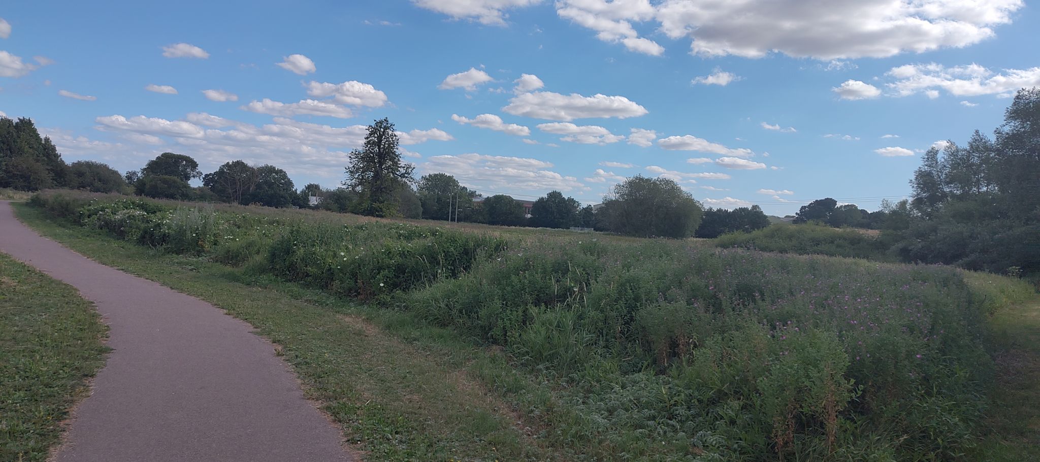 halesworth
