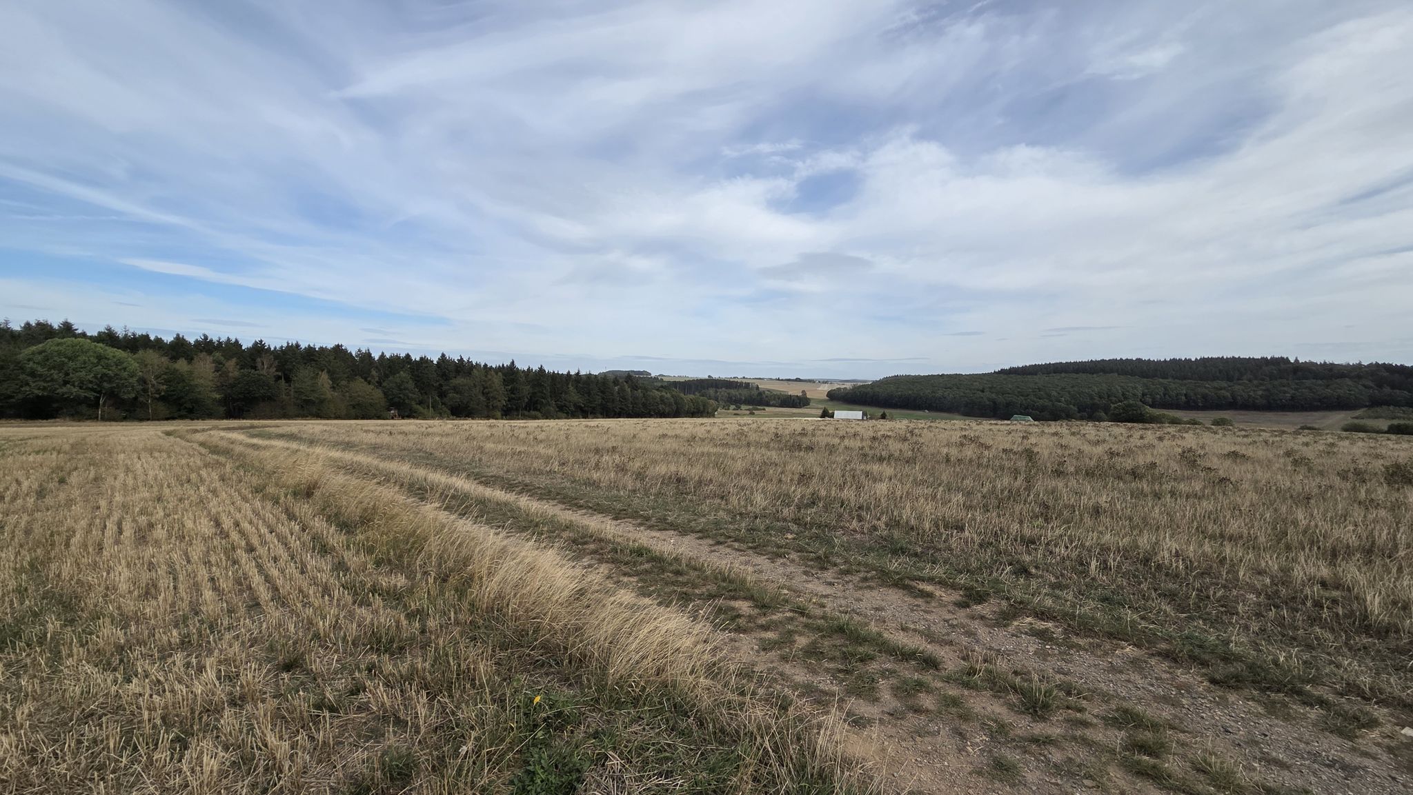 Über Felder nach Weiden