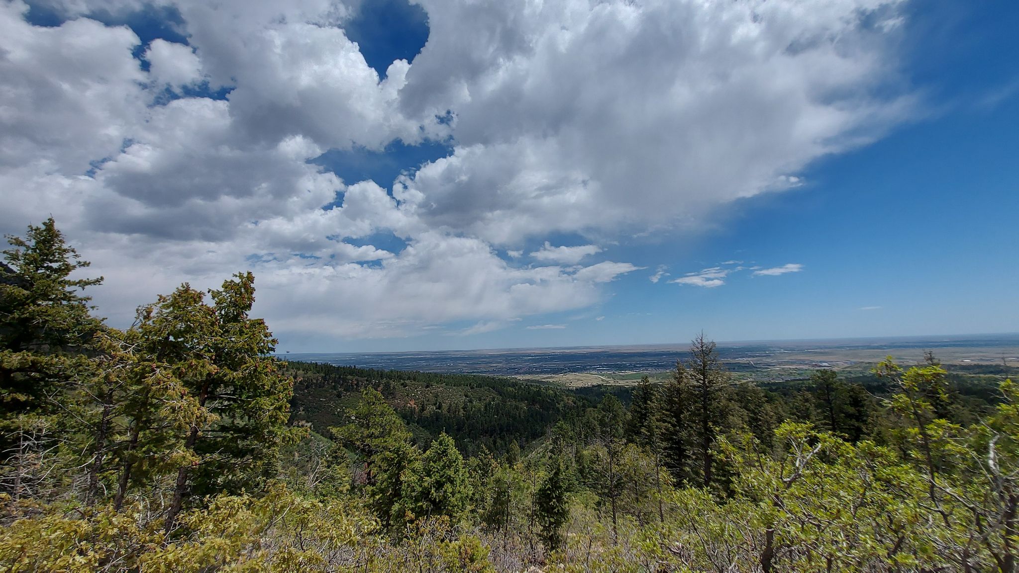 Expansive forest view under a bright, partly cloudy sky. - Cheyenne Mountain via Talon and Dixon Trail