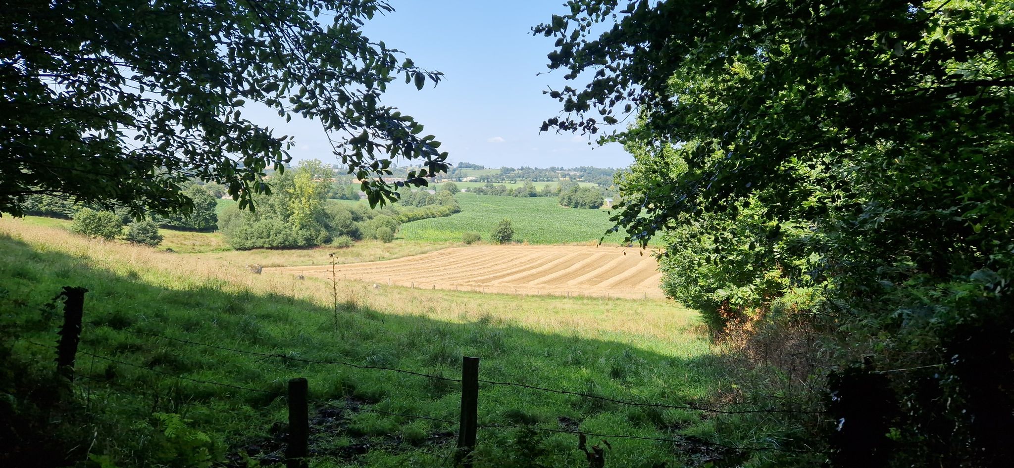 paysage