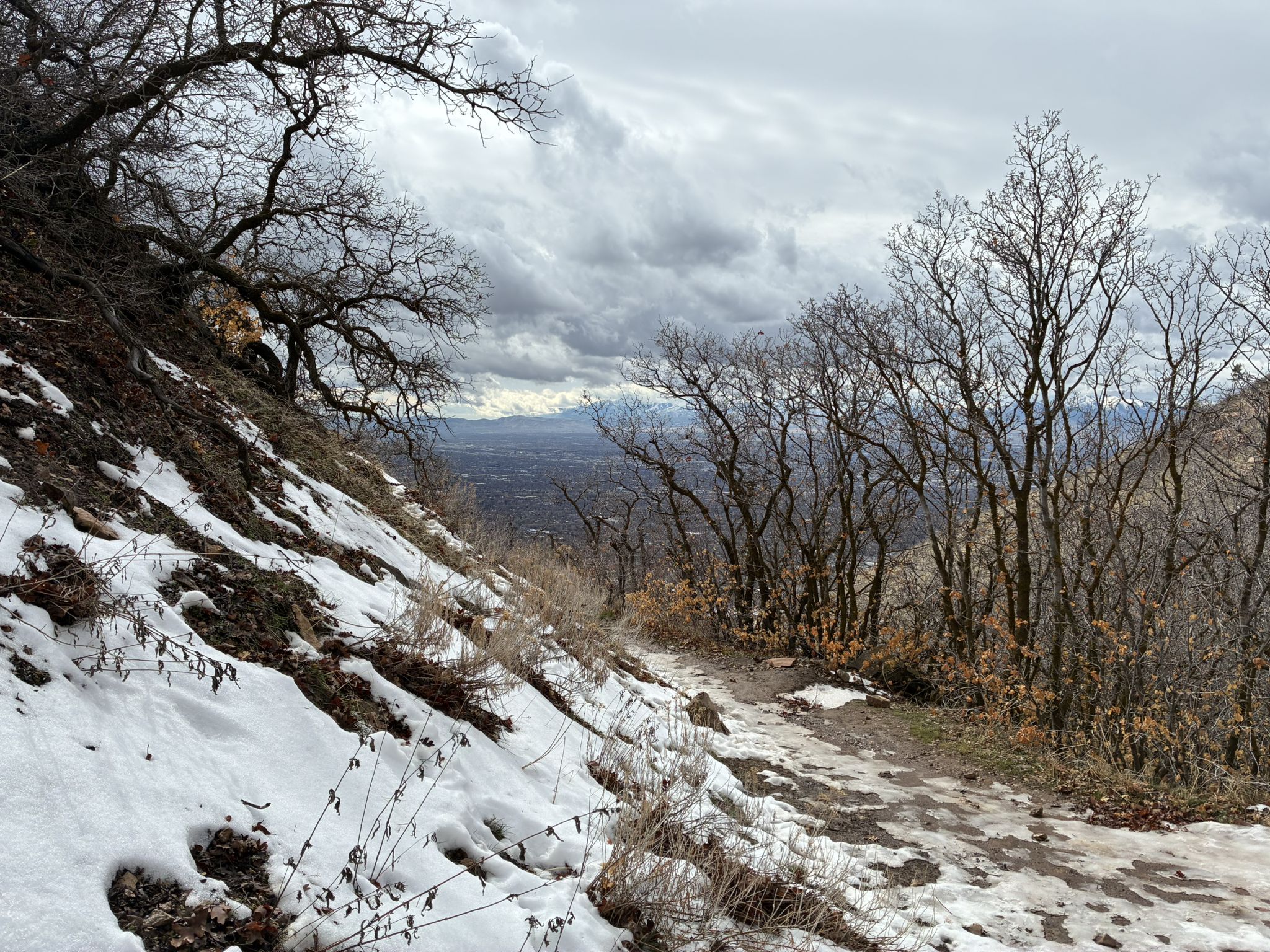 A snowy trail winds through bare trees on a hillside overlooking a distant city. - Mount Wire via Living Room Trail