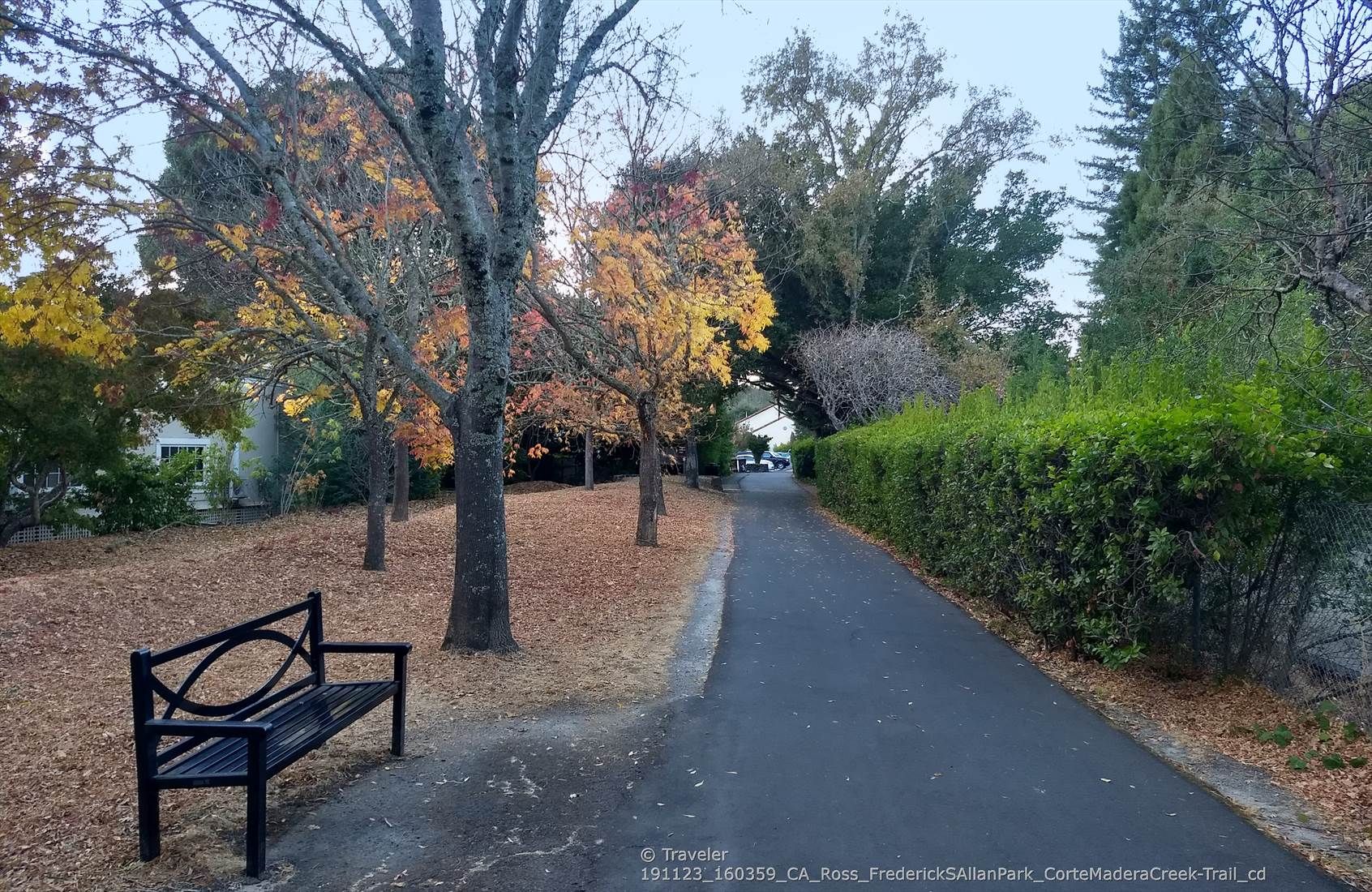 A black park bench sits beside a paved path with autumn trees and hedges. - Corte Madera Pathway – Larkspur loop from Corte Madera