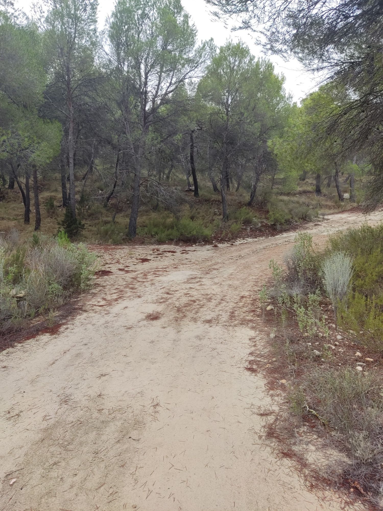 Rambla y cruce de caminos