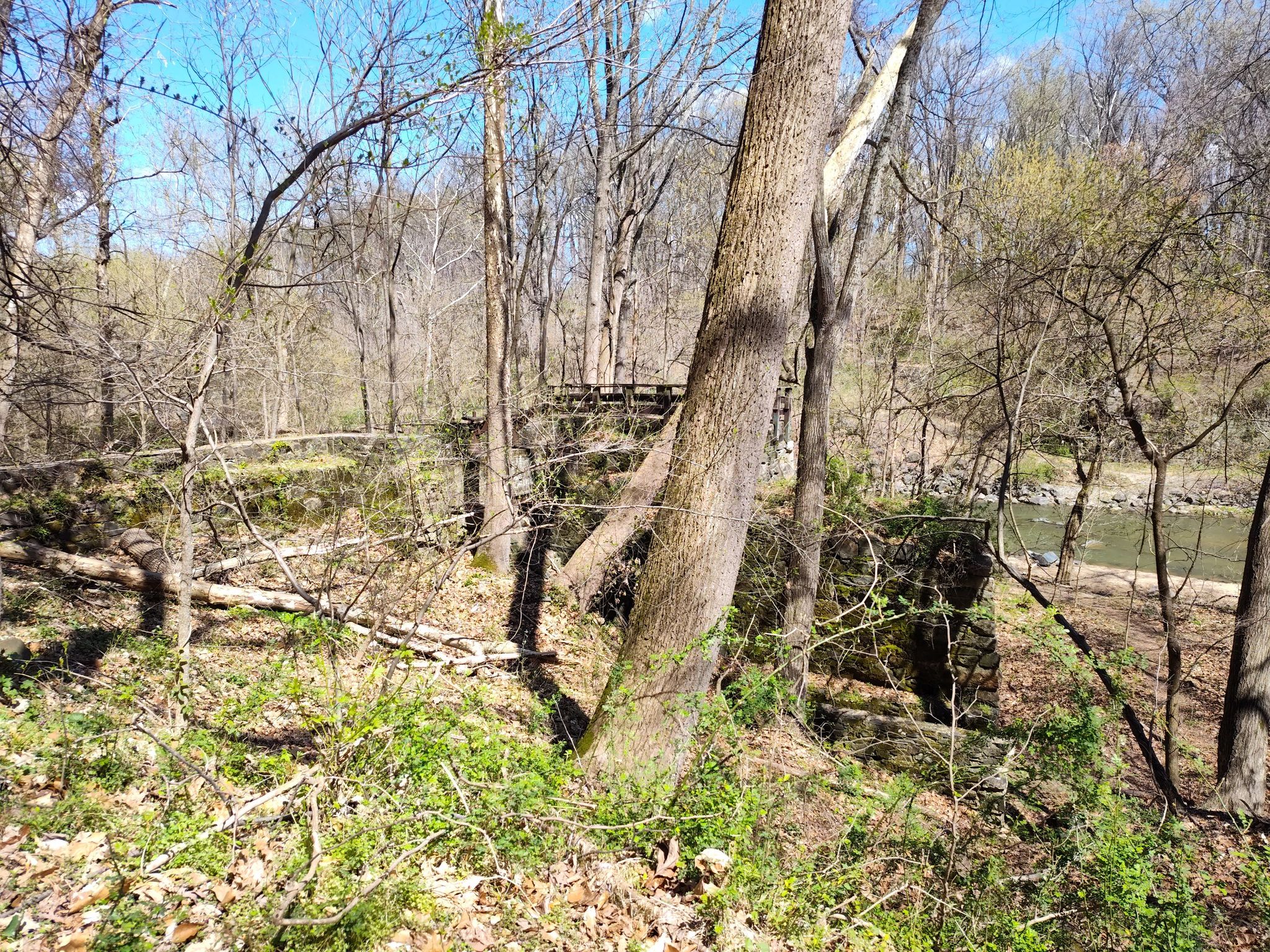 Sunny view of an old stone bridge structure in a dense forest. - Savage Mill Trail
