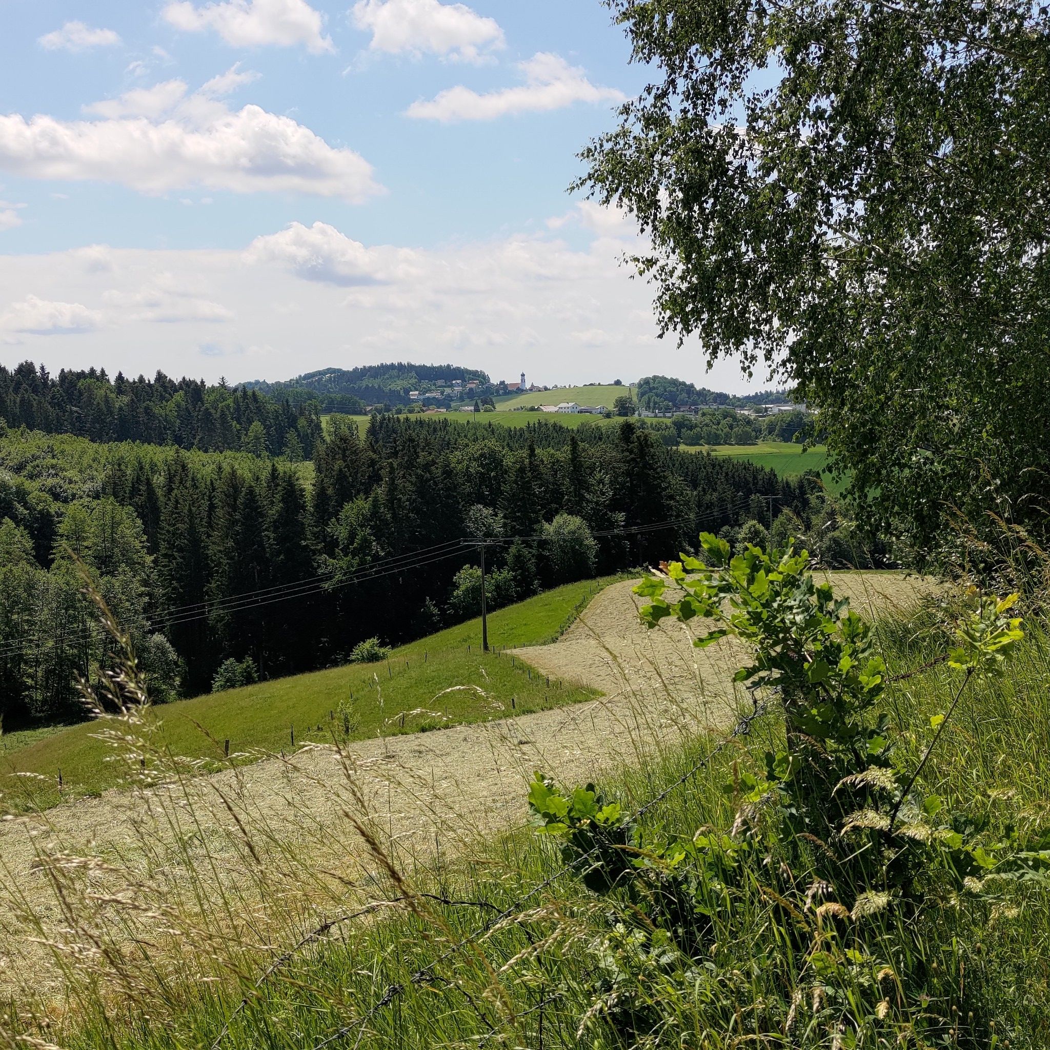 Blick auf denkhof