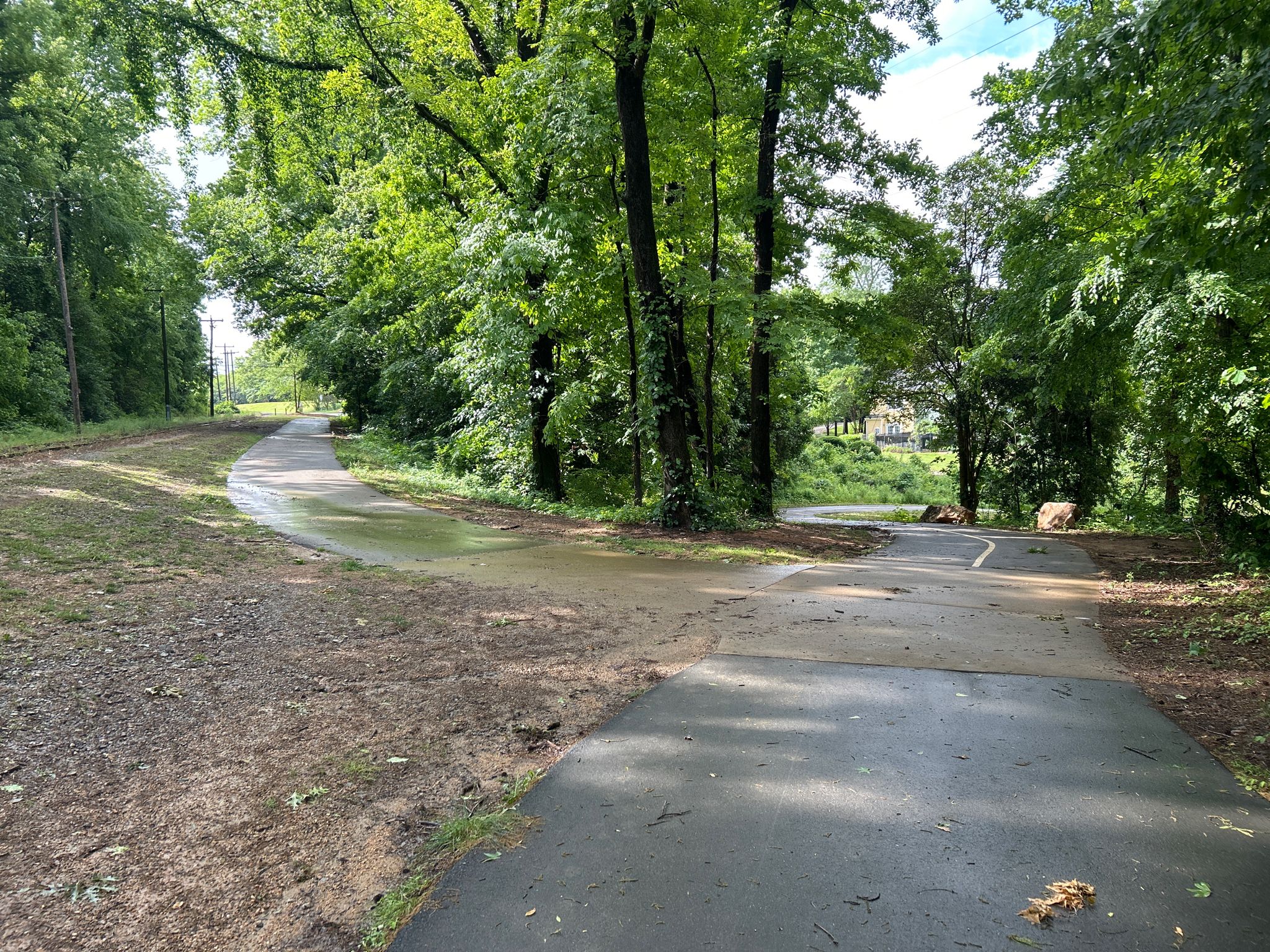 Paved path forks in a lush green forest under bright daylight. - Alexander Street Park – Little Sugar Creek Greenway loop from Parkwood