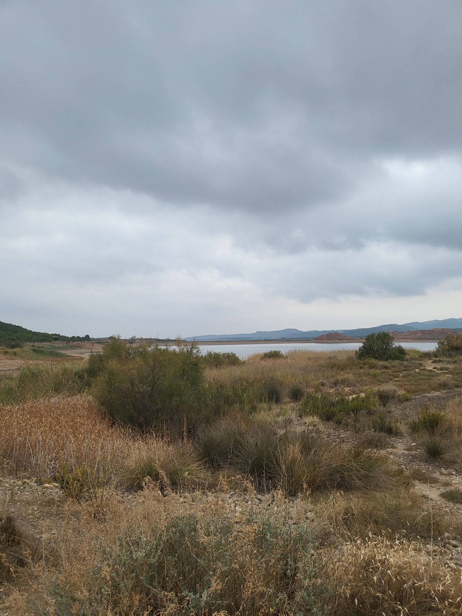 Pantano Calahorra