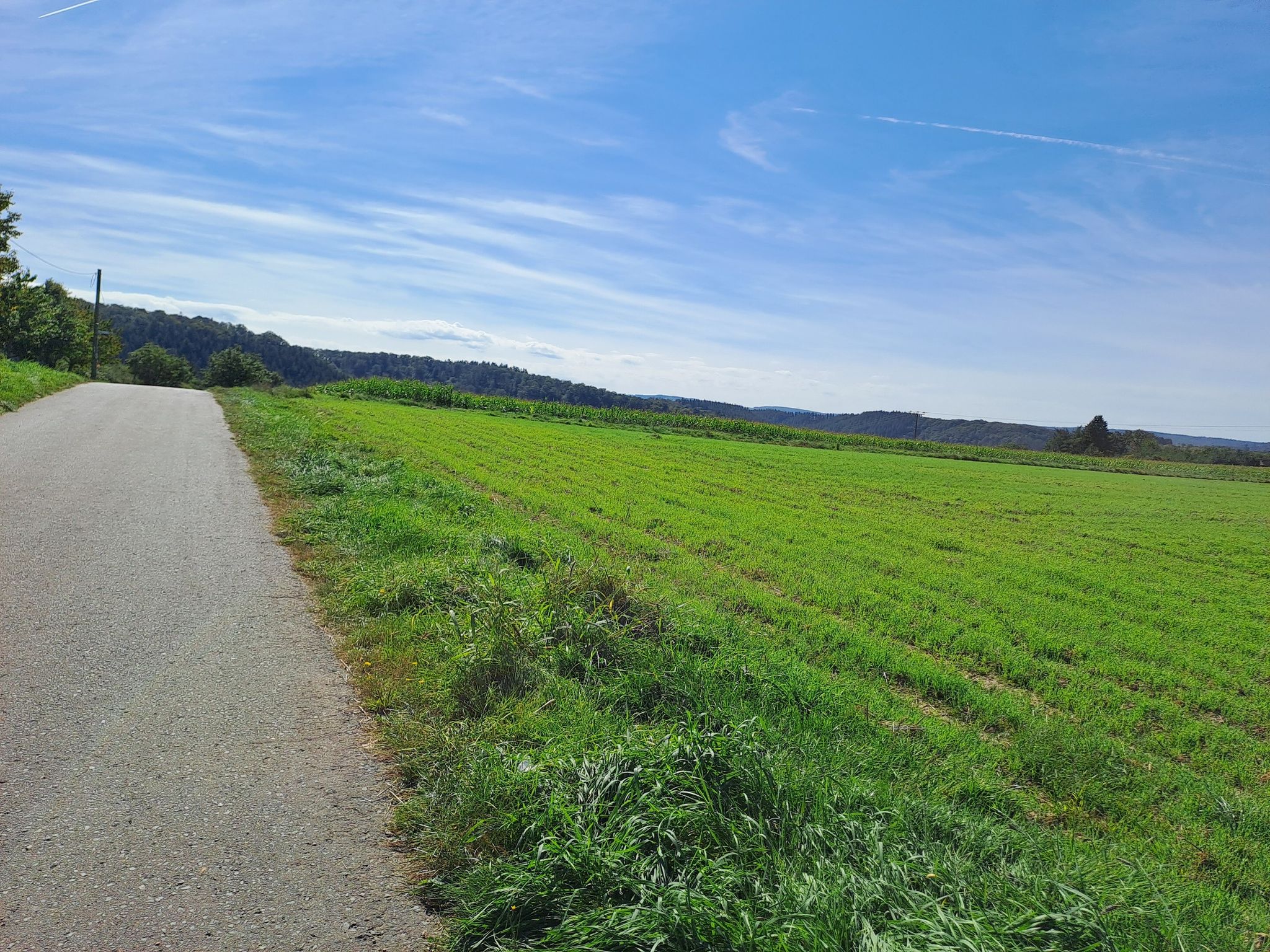 So und jetzt wieder Back to nature, oder?