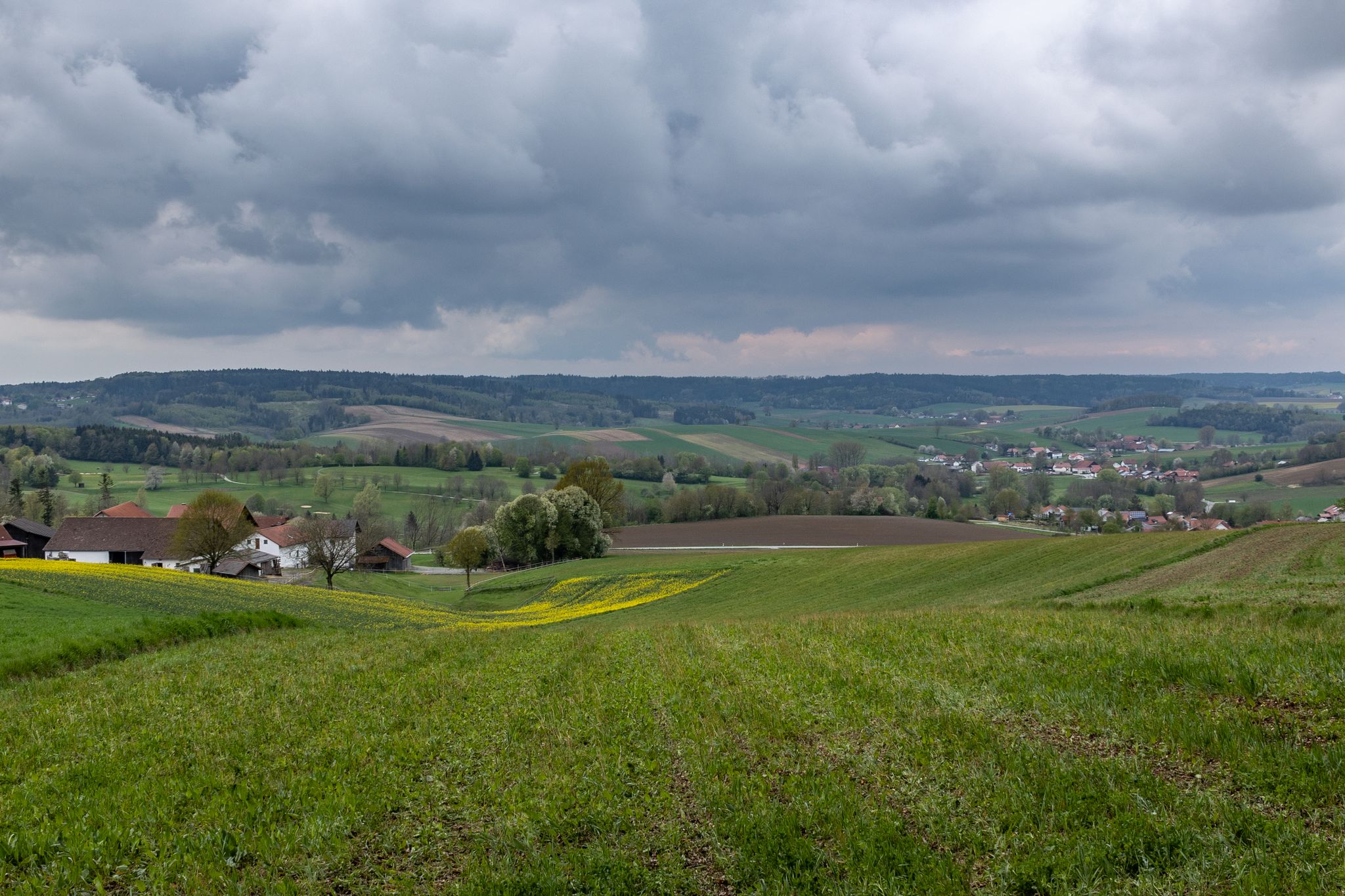 Bewölkter Himmel, aber kein hohes Regenrisiko