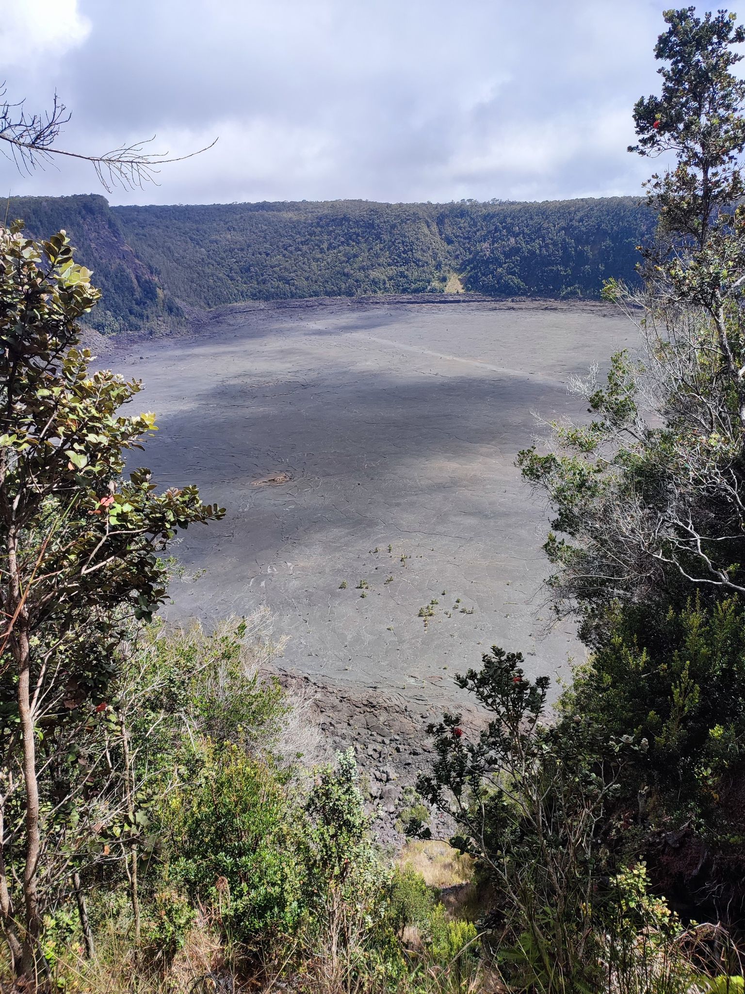 View of a dark volcanic plain through a frame of green trees. - Kīlauea Iki West Overlook – Kīlauea Overlook loop from Mauna Loa Estates
