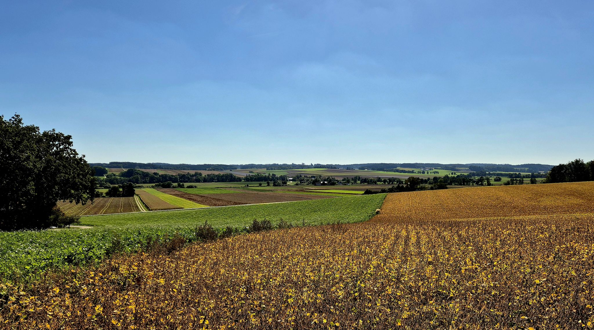 Blick ins Vilstal