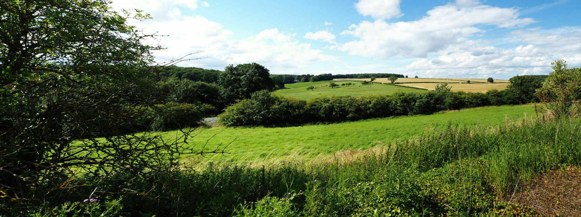Swallow Vale
