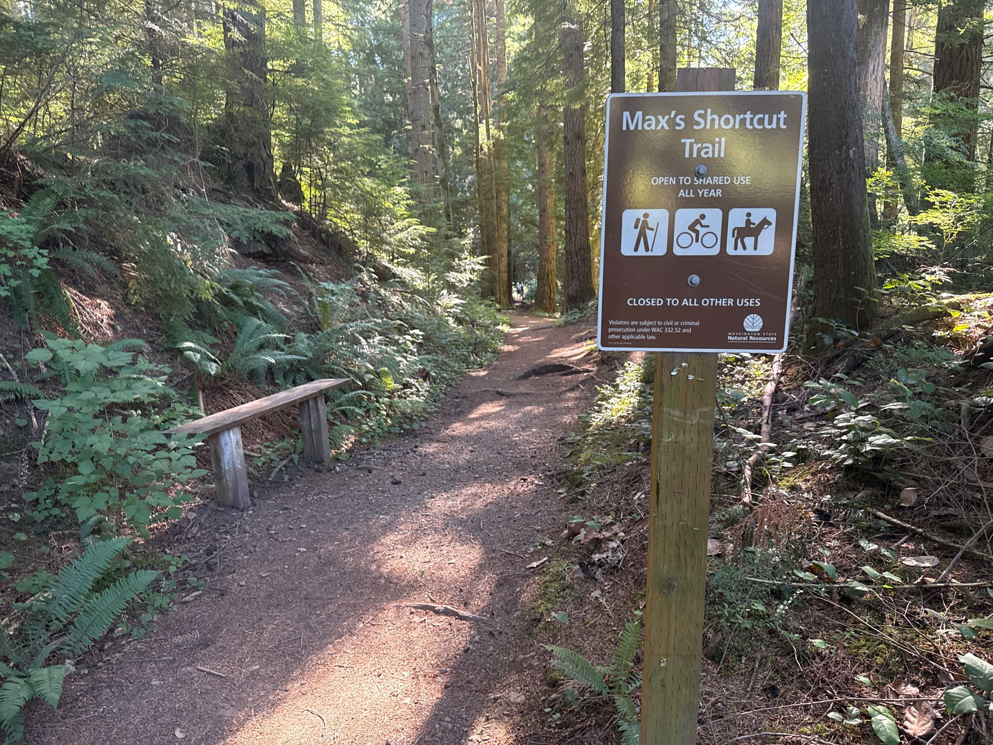 A sunny forest trail with a sign and a rustic wooden bench. - Lilly & Lizard Lake – Blanchard State Forest