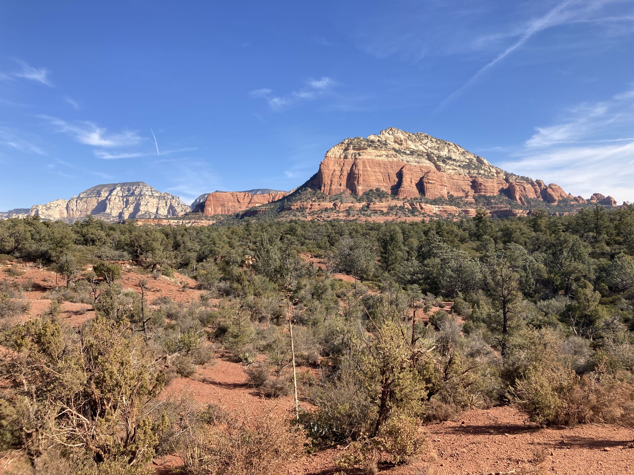 Red rock mountains under a clear blue sky, with green desert shrubs. - Chuckwagon, Mescal and Long Canyon Loop