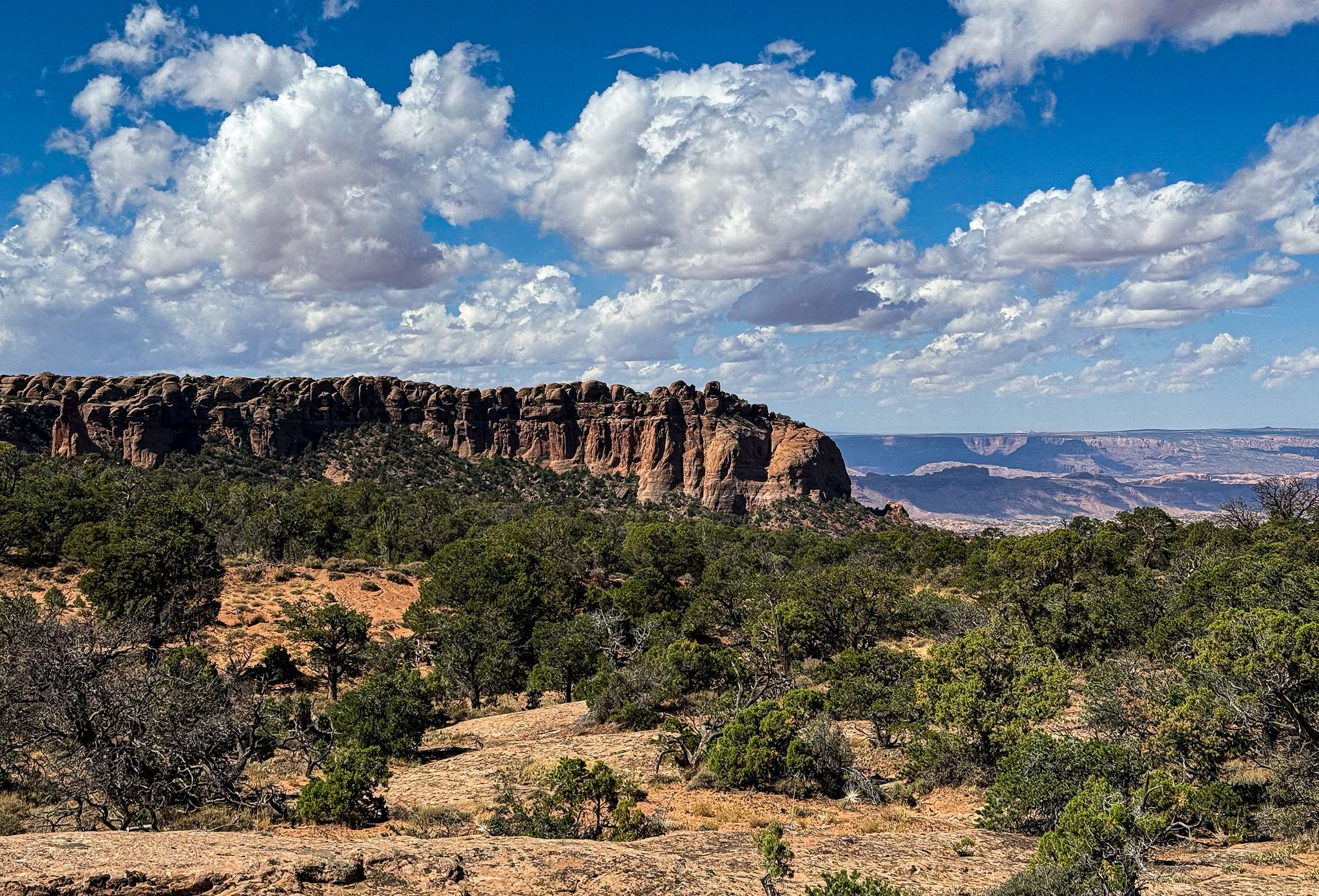A vast desert landscape with a large rocky mesa under a cloudy blue sky. - Raptor Route
