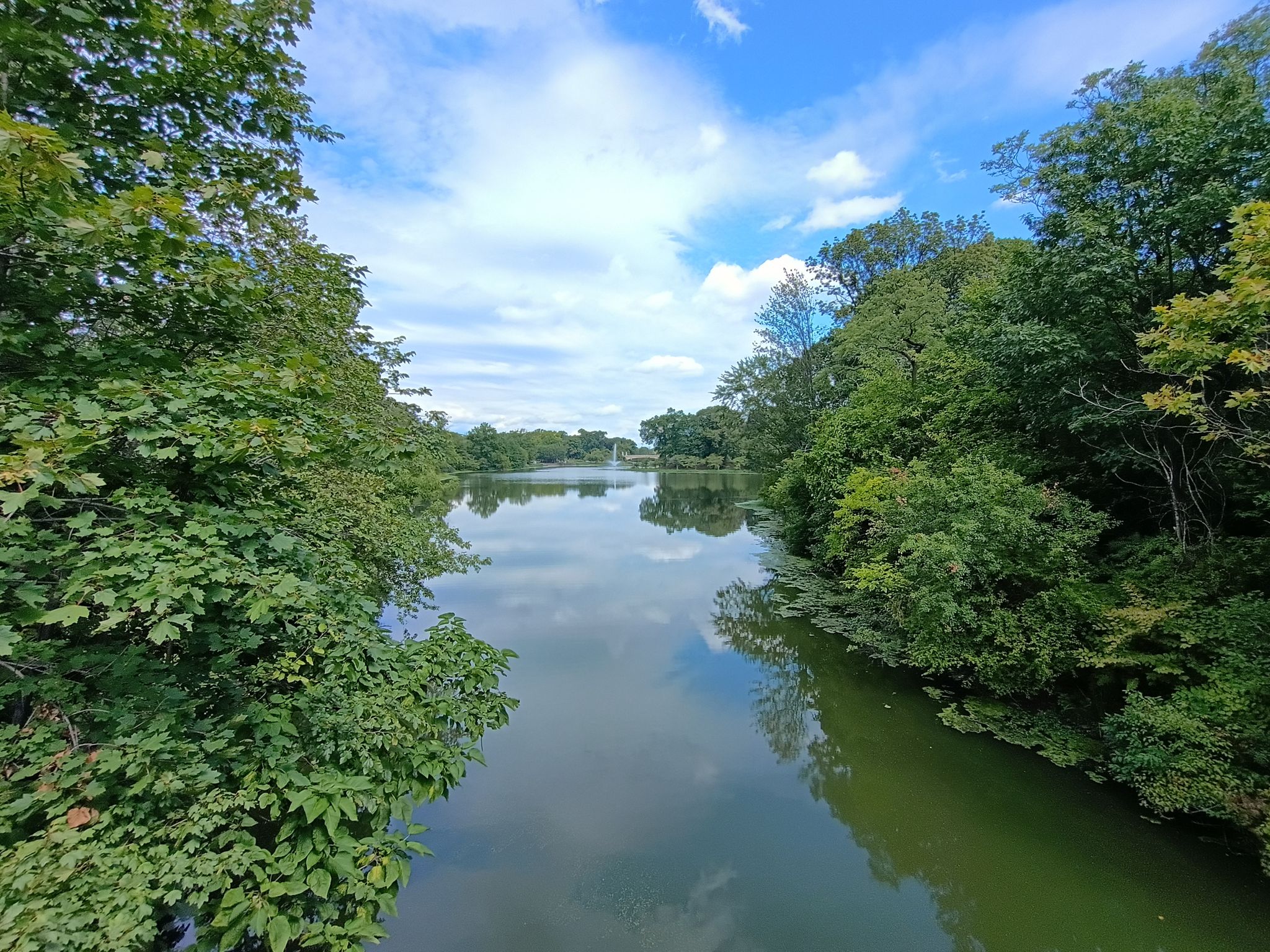 Calm river surrounded by lush green trees under a bright sky. - Clark's Pond loop from Orange Street