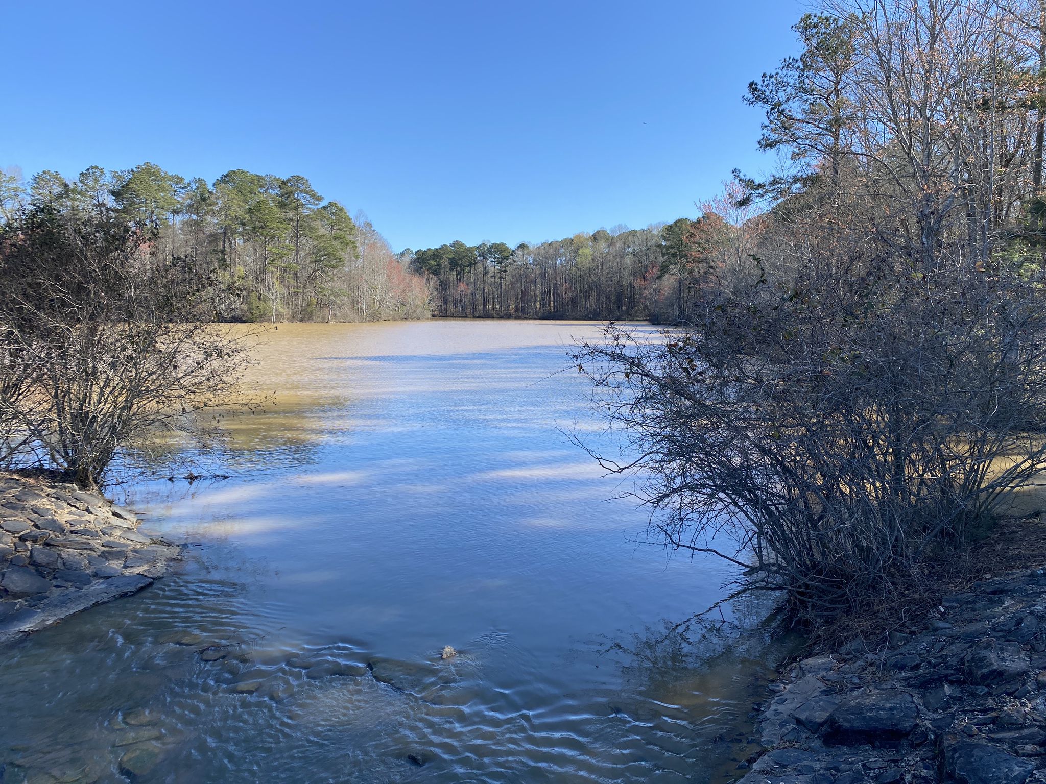 Wide muddy lake surrounded by dense trees under a clear blue sky. - Lake Peachtree – Creek in the Woods loop from La Petiti Academy