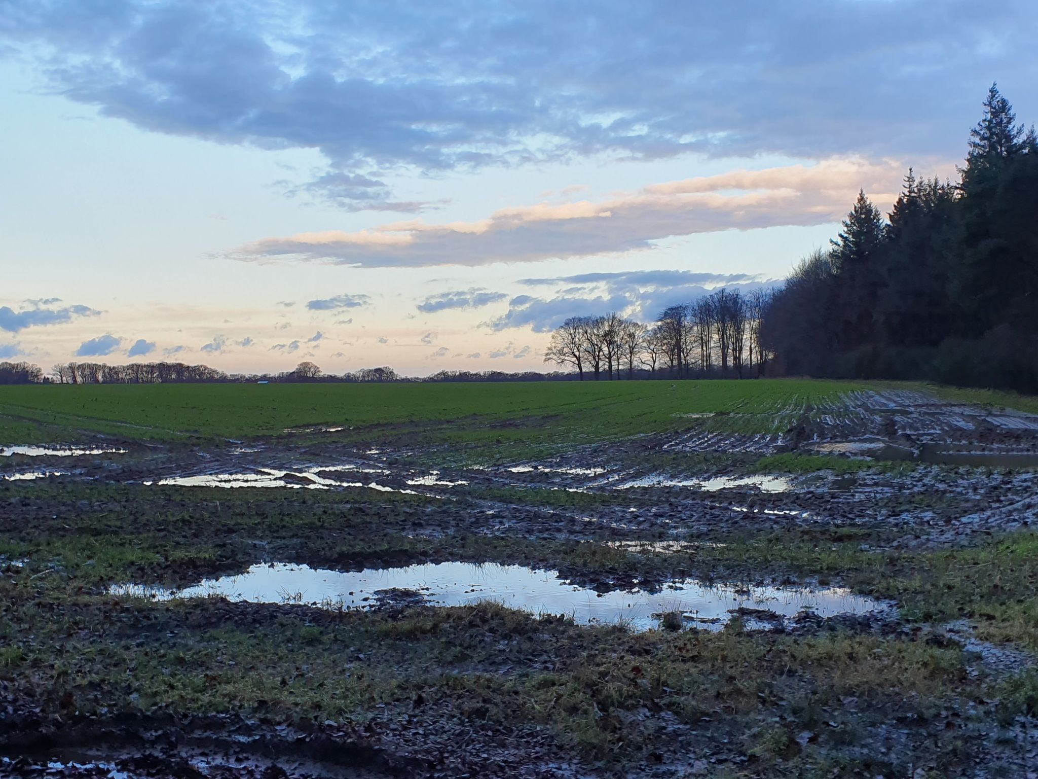 Hinterm Horizont bahnt sich die Sonne ihren Weg an den Himmel.