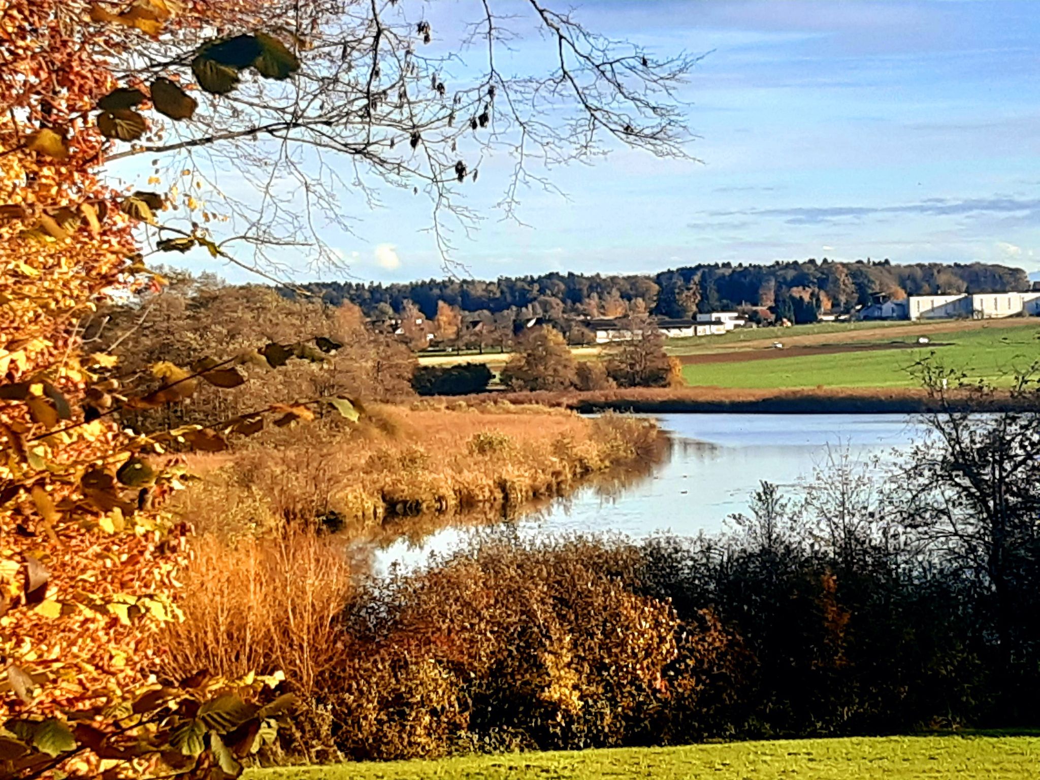 Bommer Weiher Impression