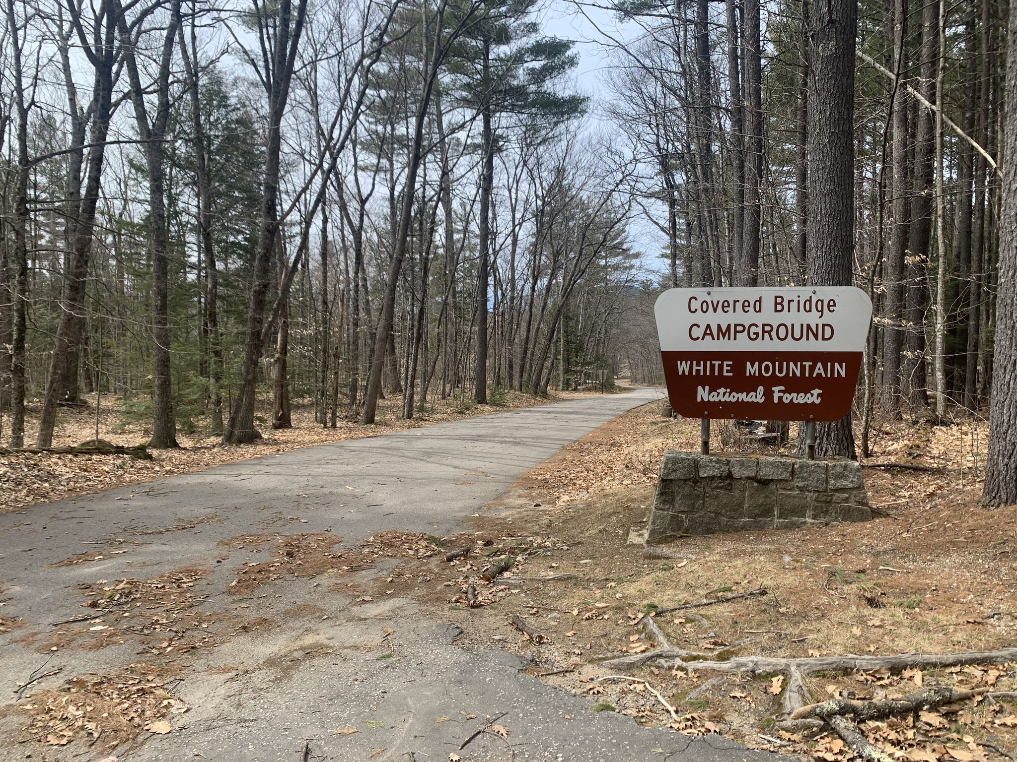 A dirt road leads into a bare forest under an overcast sky. - Echo Lake – Swift River loop from Kearsarge Brook Preserve